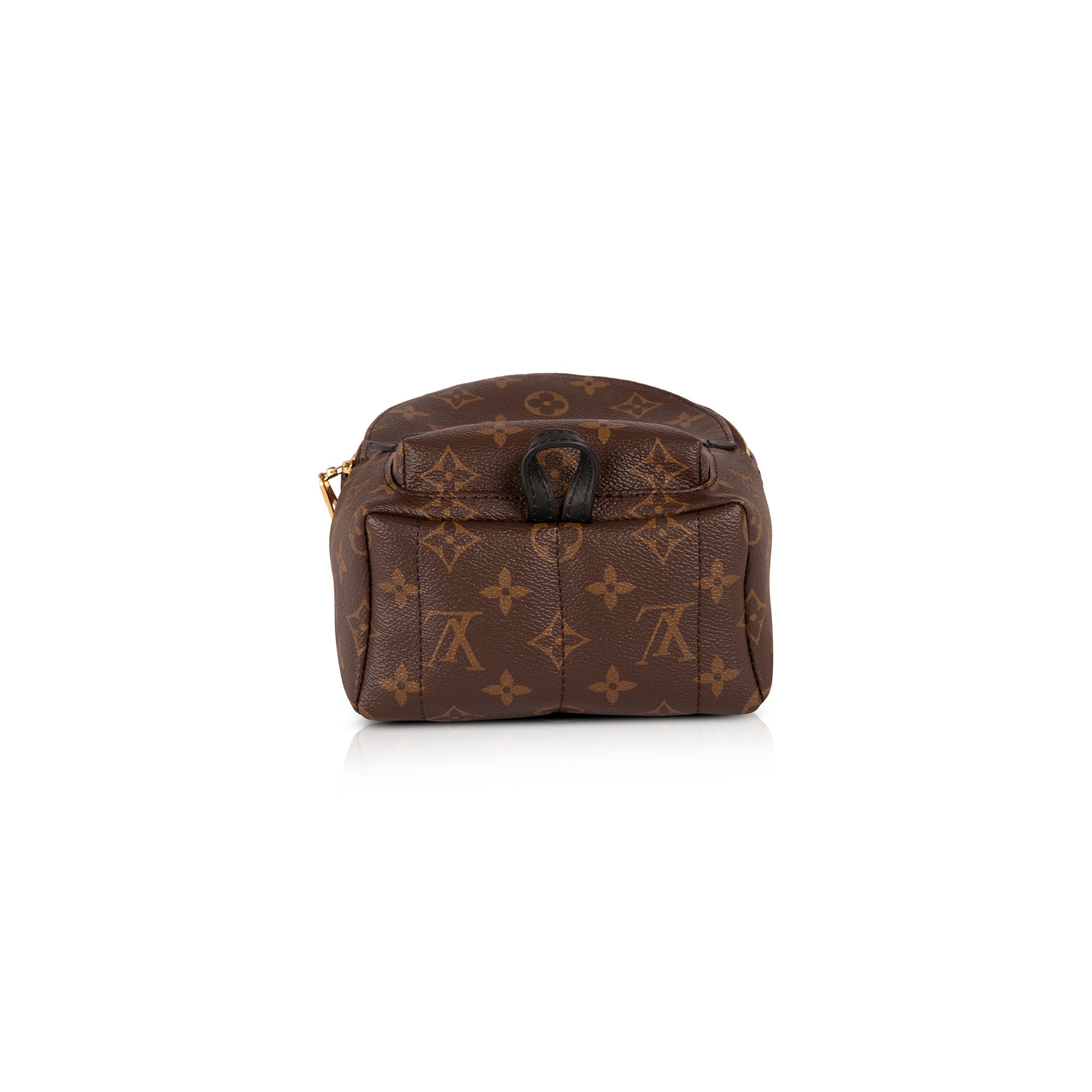 Louis Vuitton 2020 Monogram Palm Springs Mini Backpack