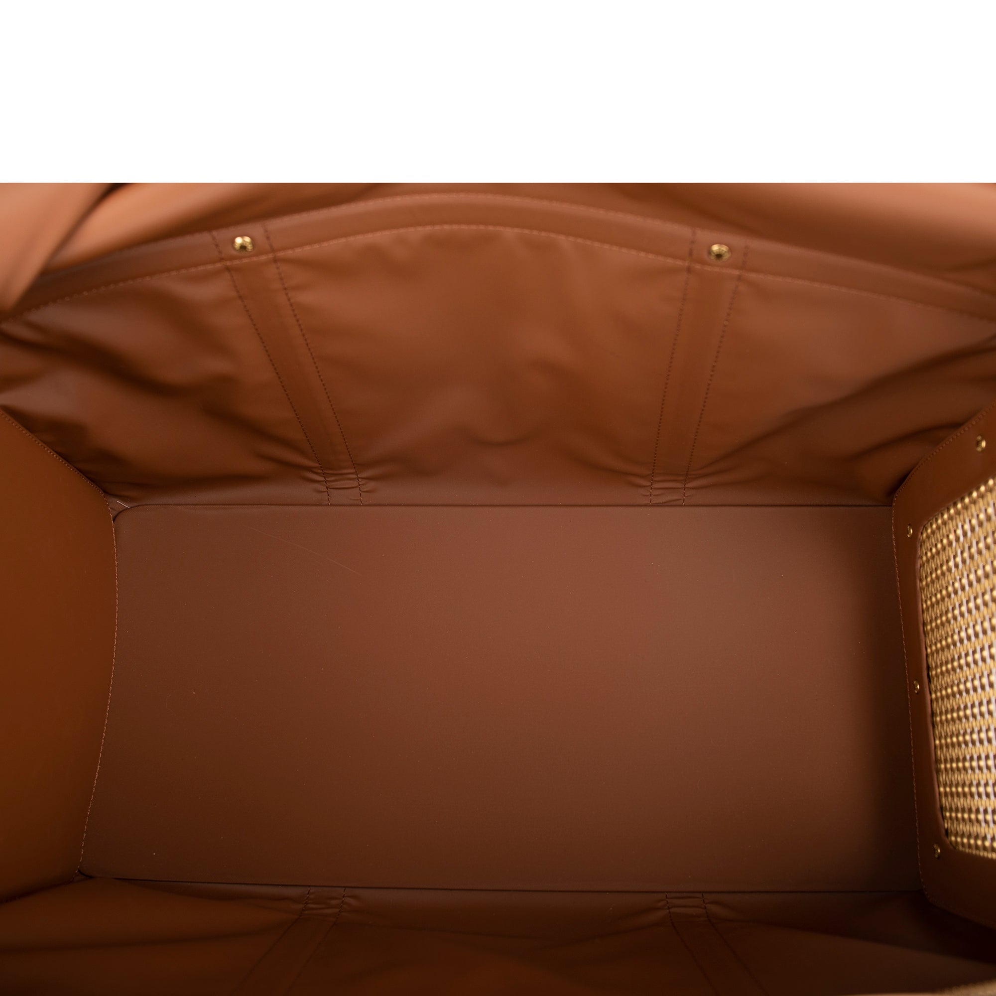 Louis Vuitton 2020 Monogram Sac Chien 50 Pet Carrier