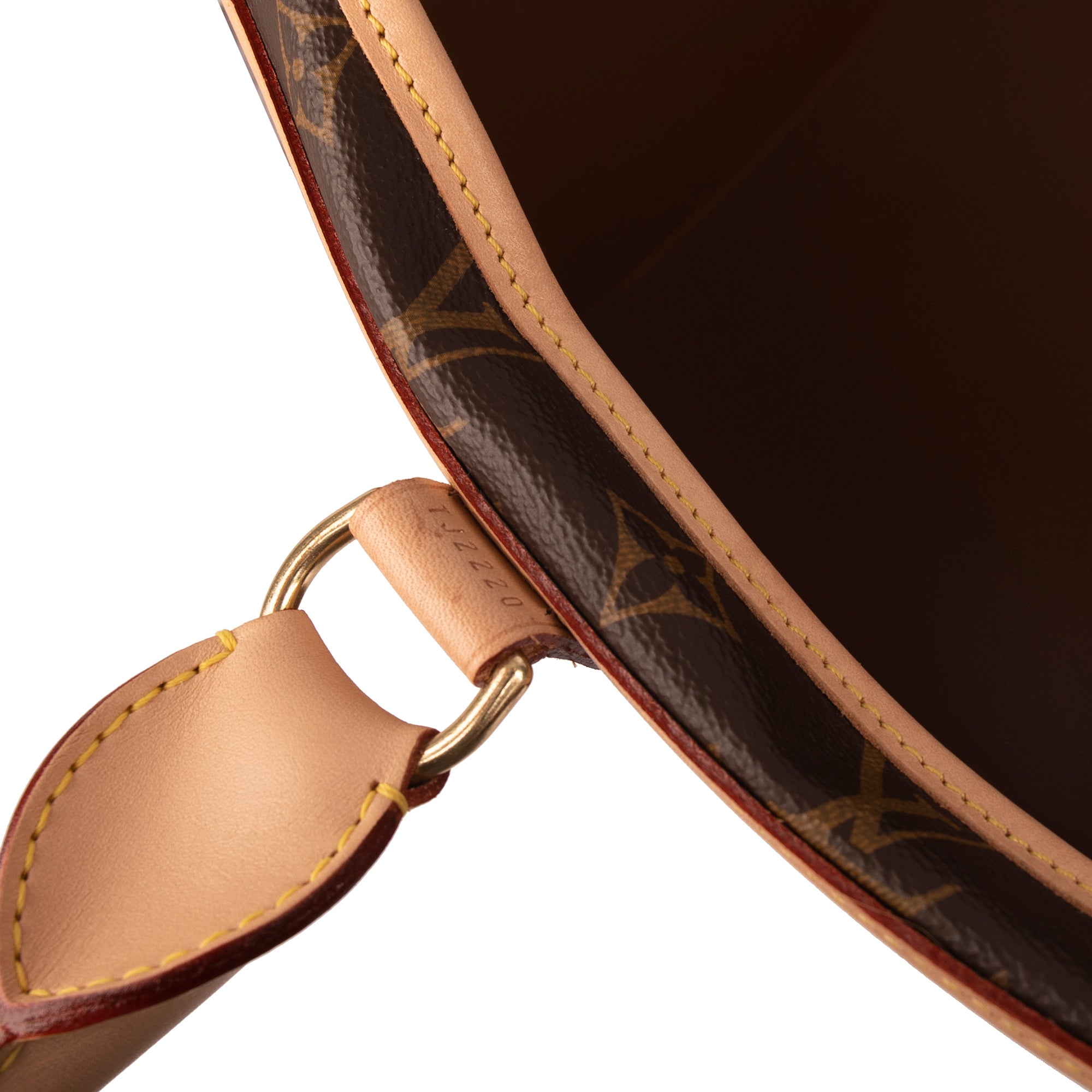 Louis Vuitton 2020 Monogram Sac Chien 50 Pet Carrier