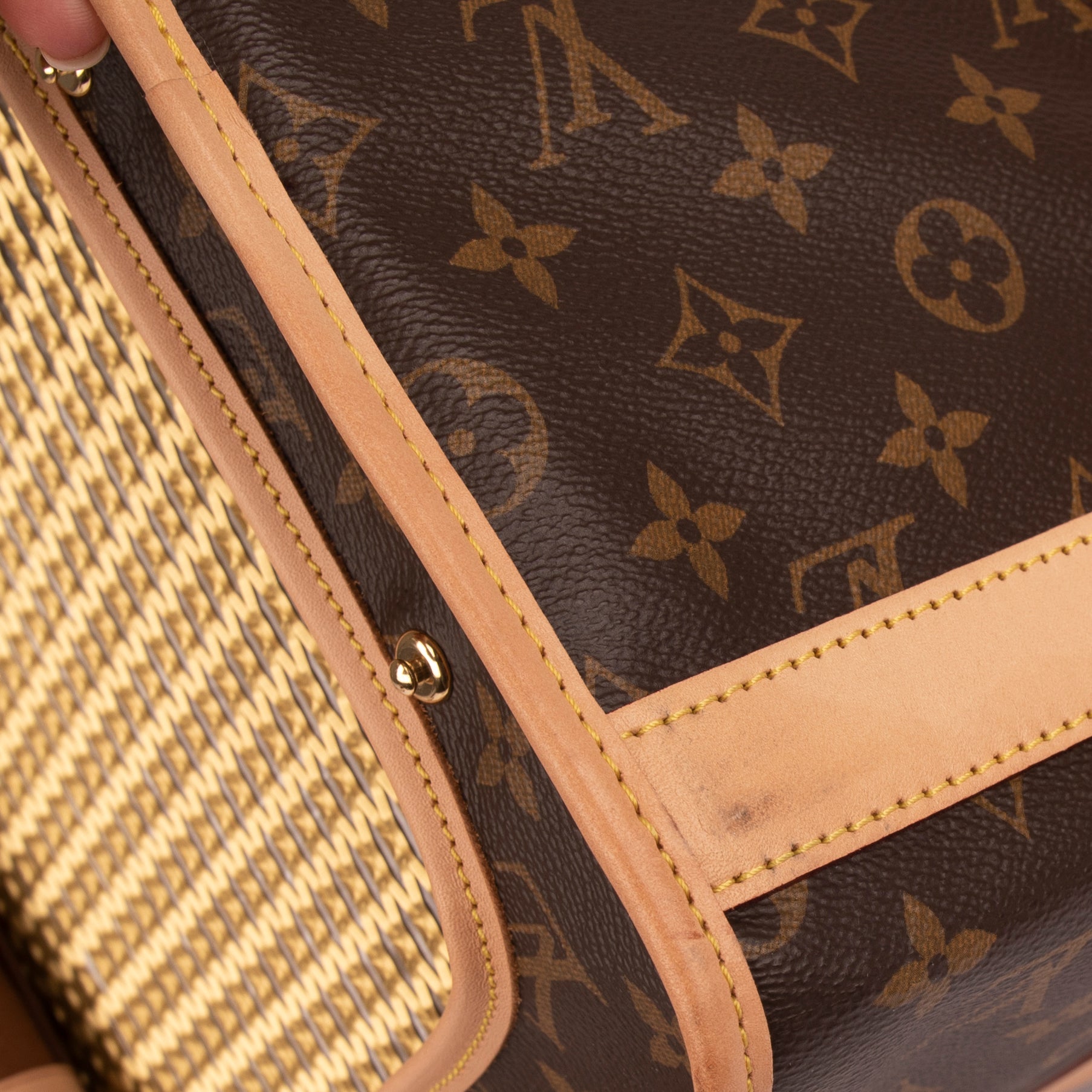 Louis Vuitton 2020 Monogram Sac Chien 50 Pet Carrier – OLIVER'S
