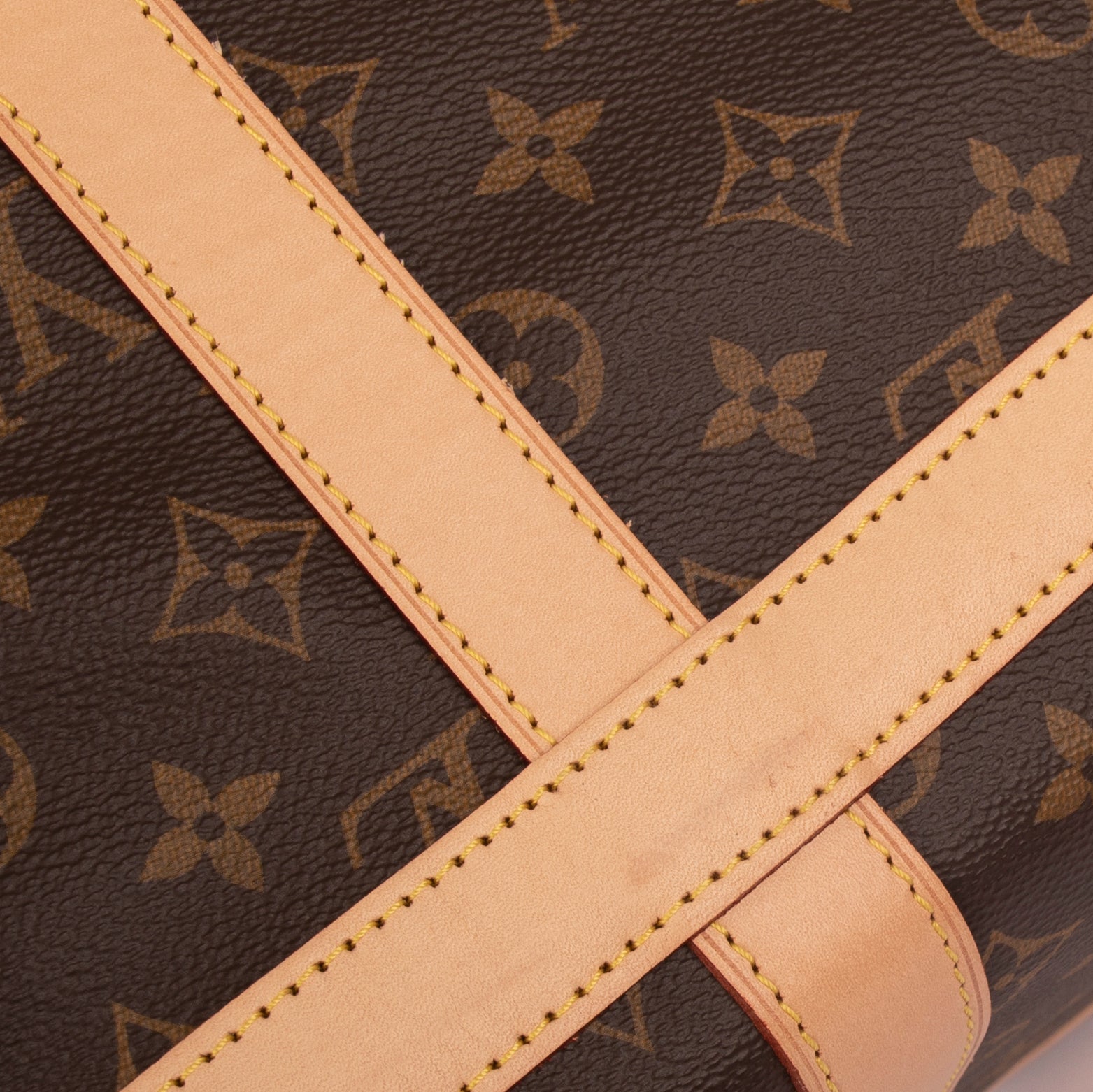 Louis Vuitton 2020 Monogram Sac Chien 50 Pet Carrier