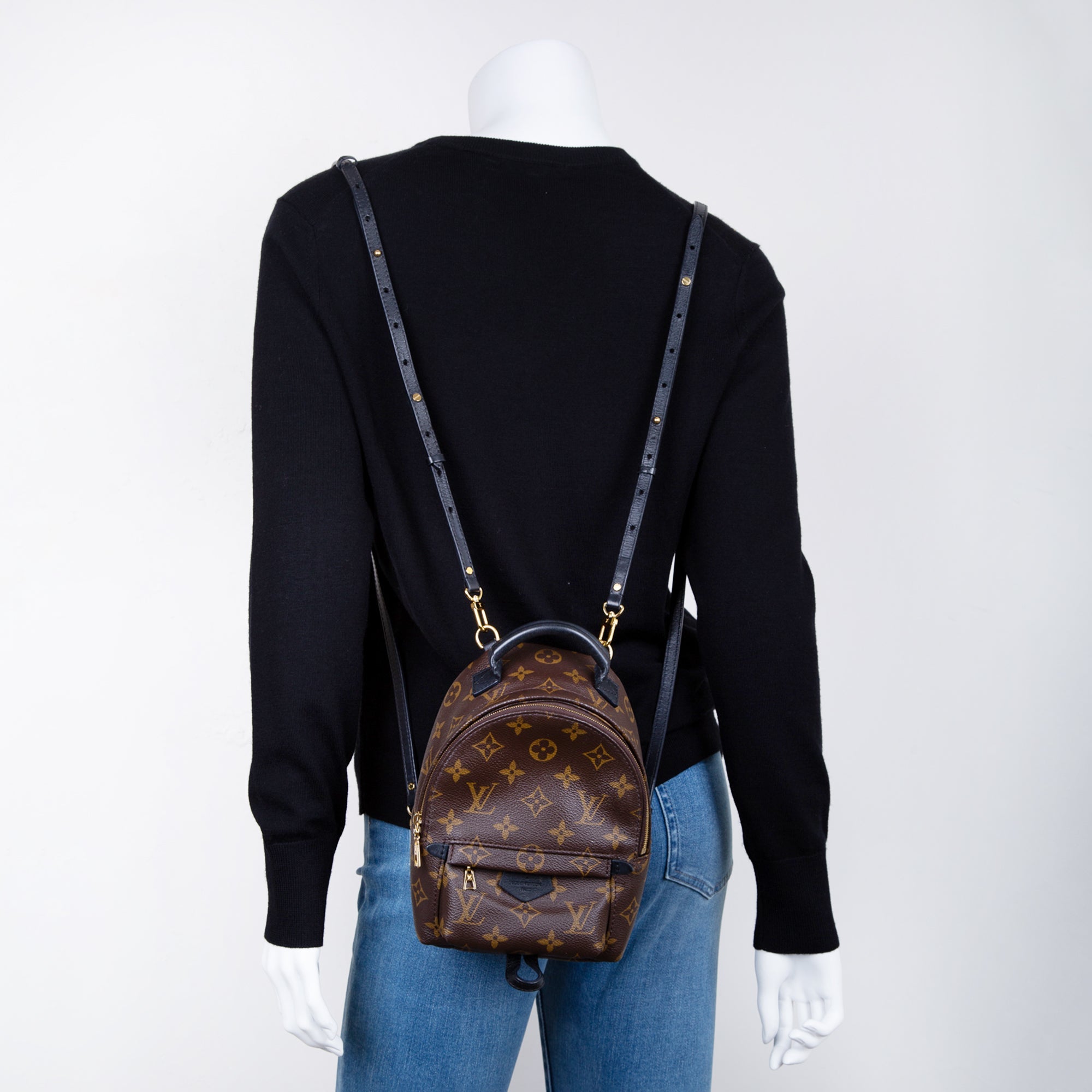 Louis Vuitton 2021 Monogram Palm Springs Mini Backpack w/ Box