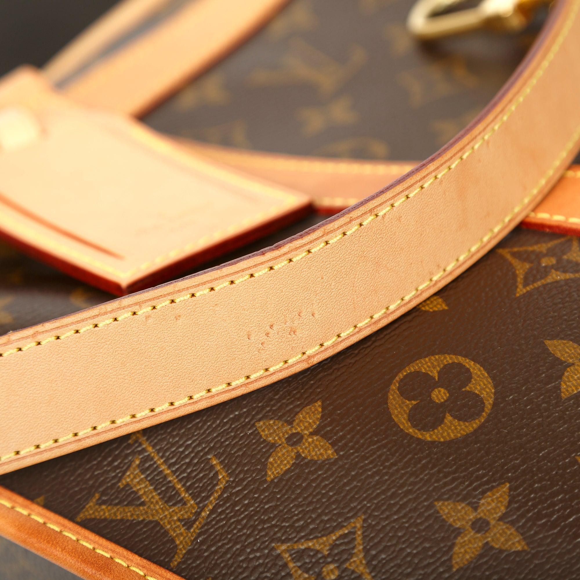 Louis Vuitton 2022 Monogram Dog Bag