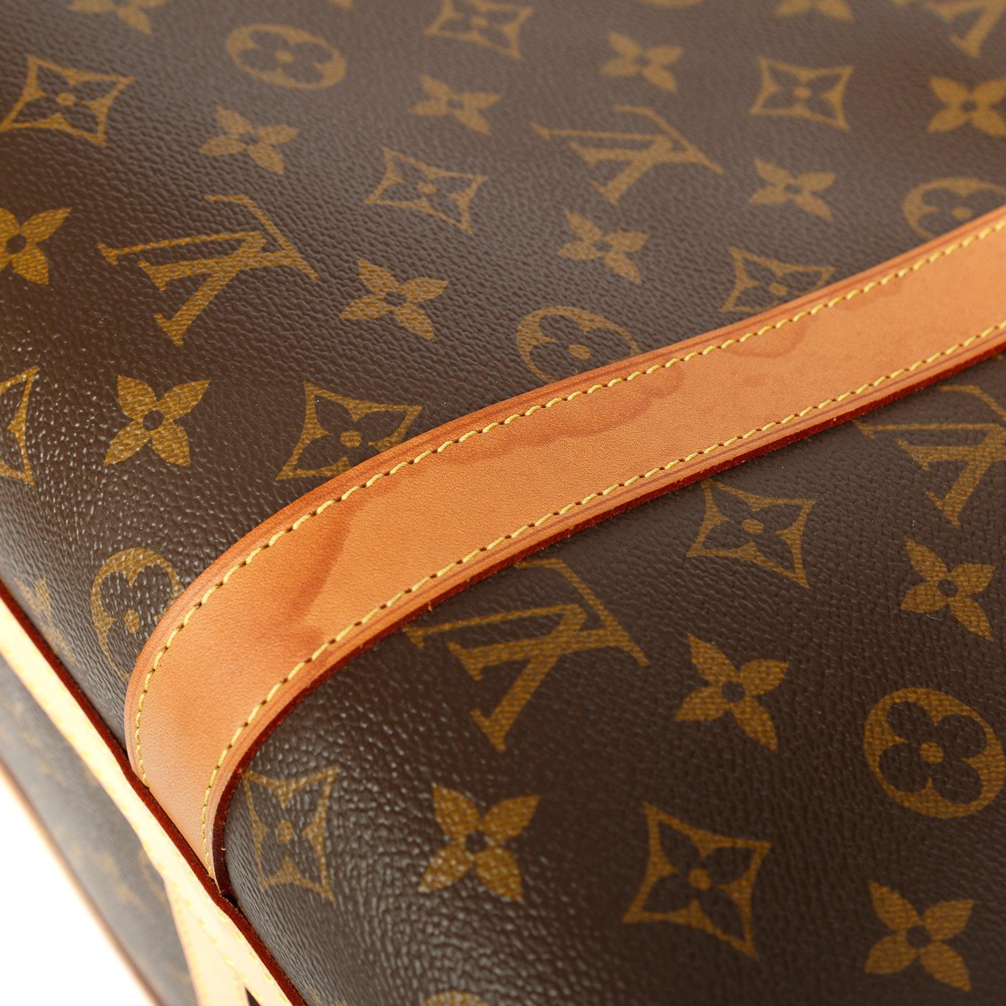 Louis Vuitton 2022 Monogram Dog Bag