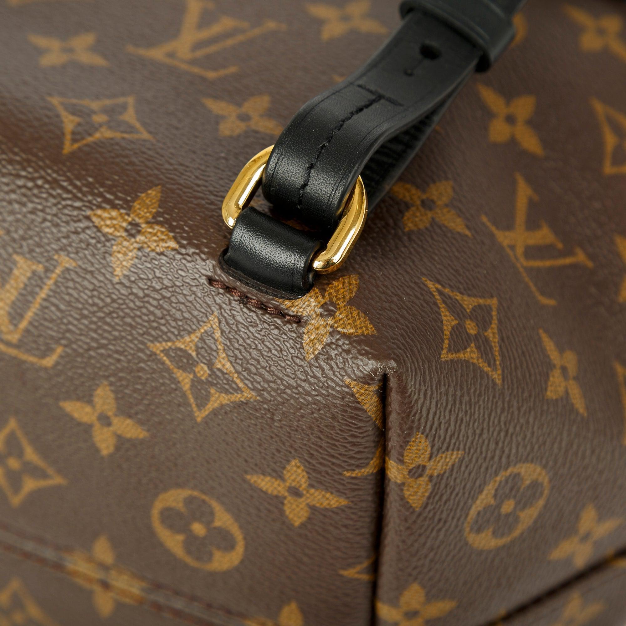 Louis Vuitton 2022 Monogram Montsouris PM Backpack