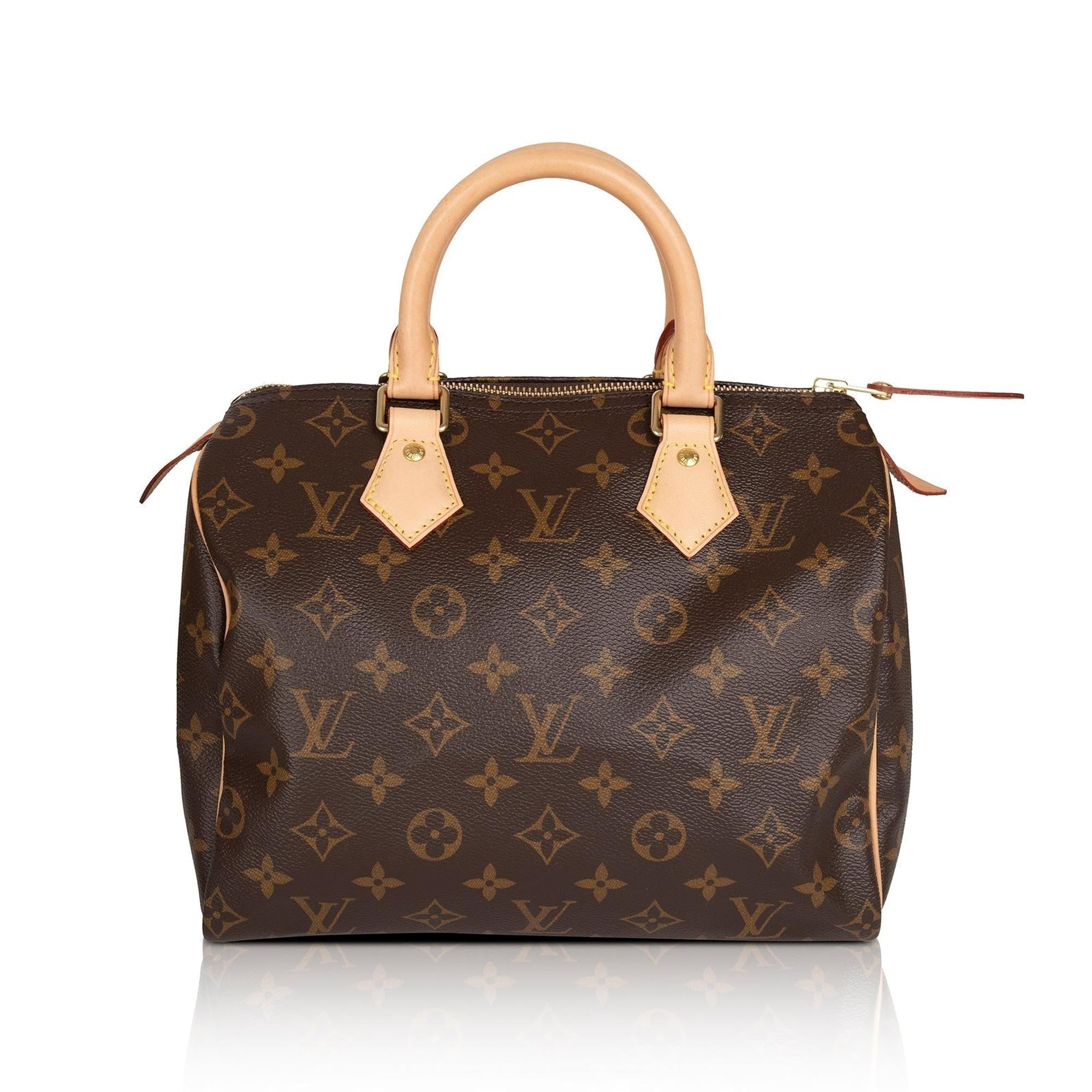 Louis Vuitton 2022 Monogram Speedy 25