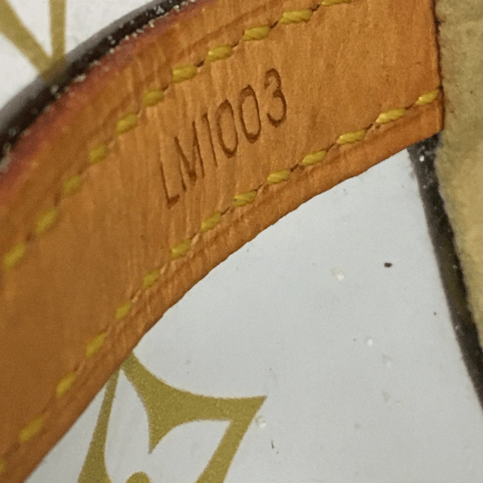 Louis Vuitton Cabas Sac Ambre