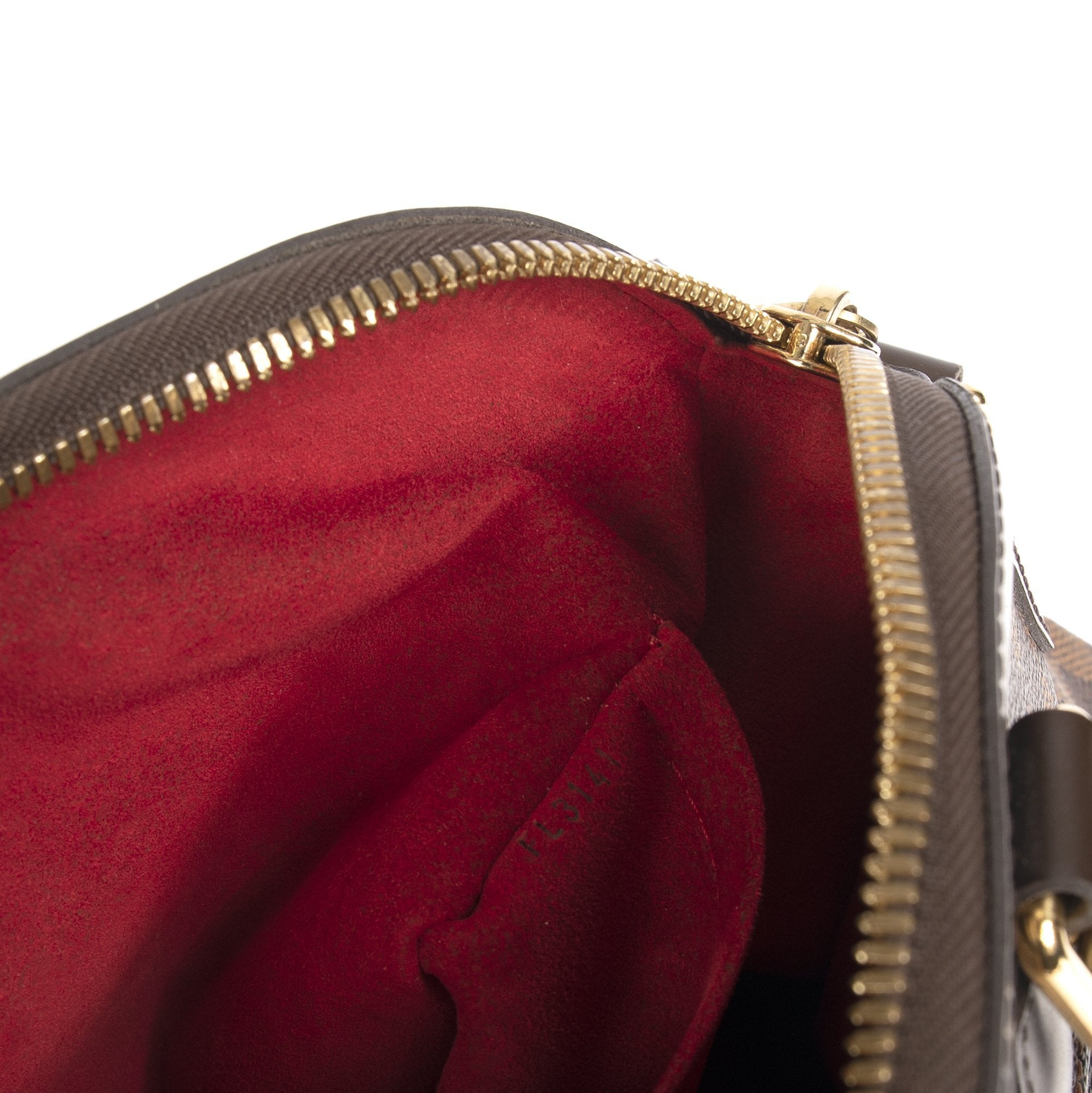 Louis Vuitton Damier Ebene Trevi PM