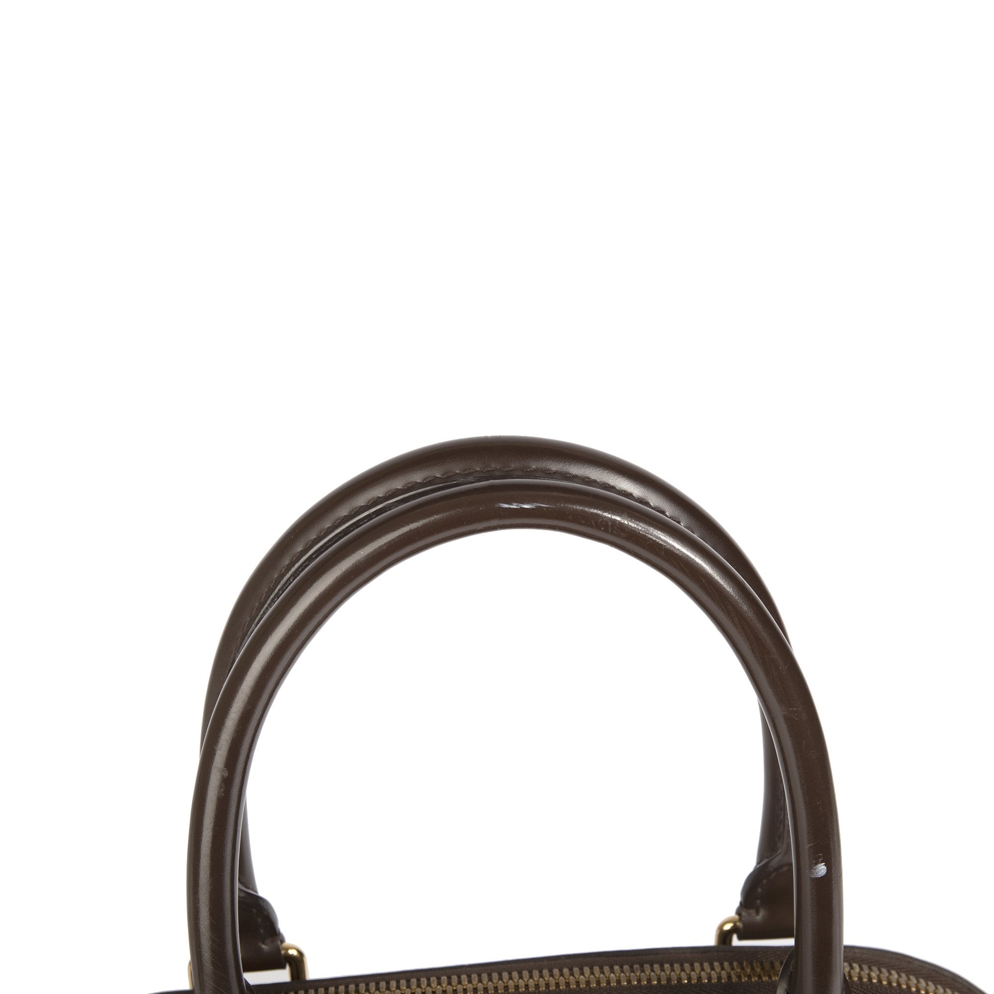 Louis Vuitton Damier Ebene Trevi PM