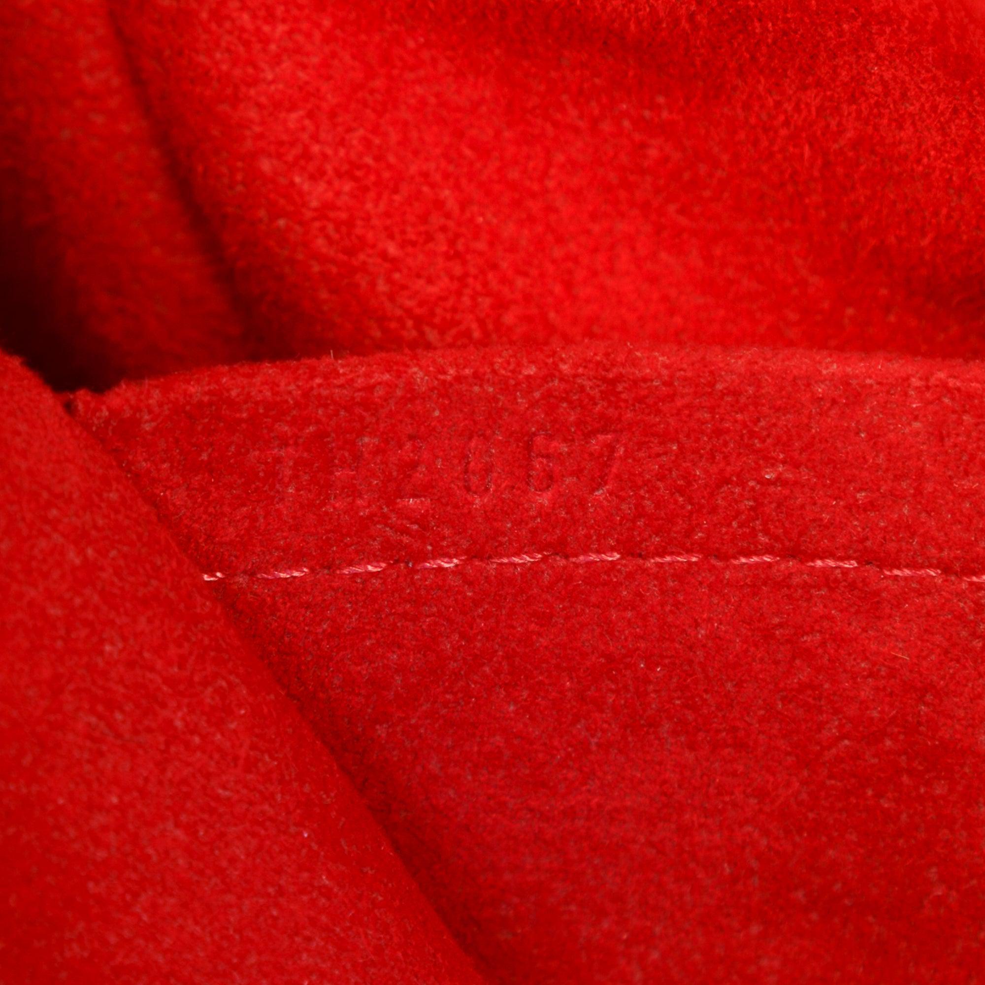 Louis Vuitton Damier Ebene Trevi PM w/ Strap