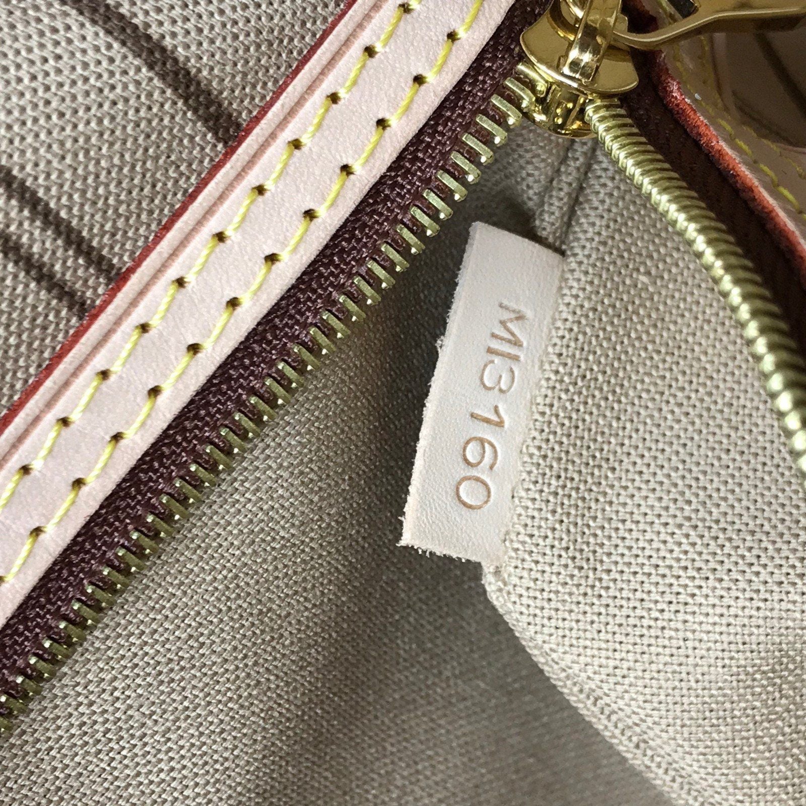 Louis Vuitton Delightful PM Monogram