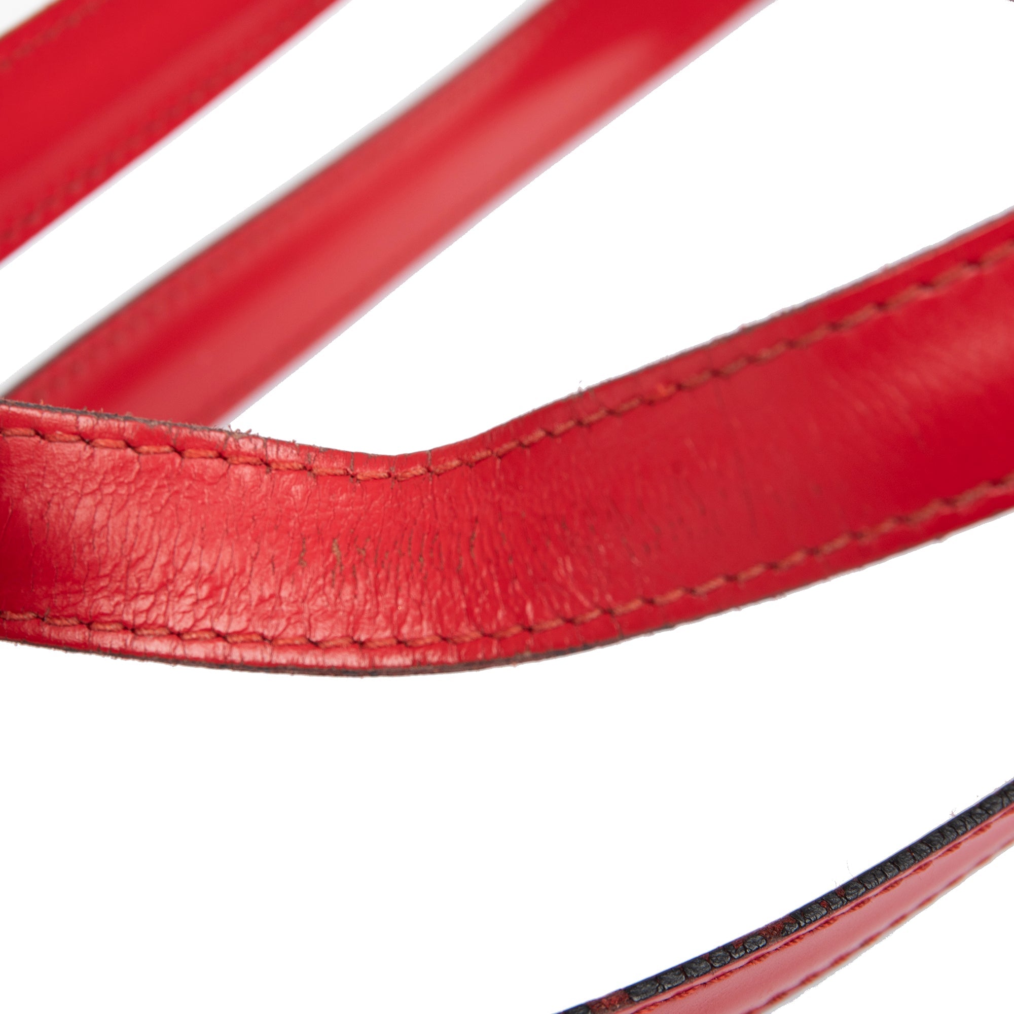 Louis Vuitton Epi Lussac Tote