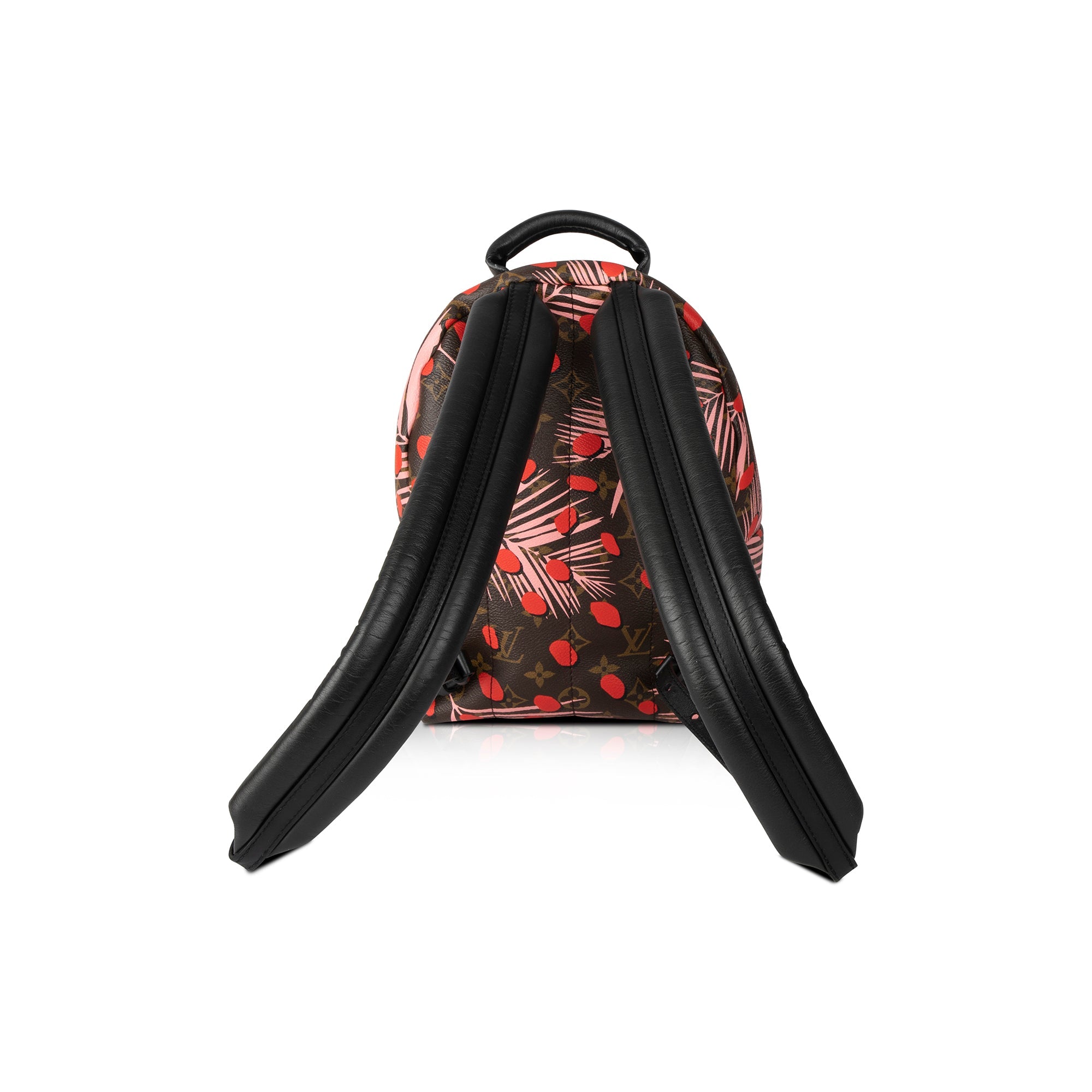 Louis Vuitton Limited Edition Monogram Jungle Dots Palm Springs Backpack