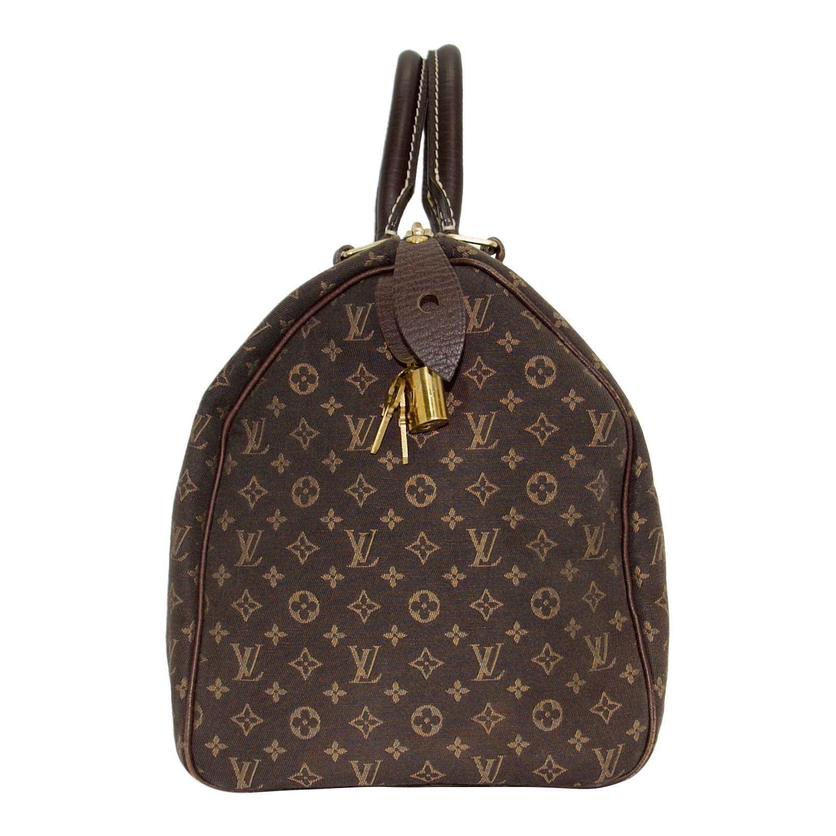 Louis Vuitton Mini Lin Speedy 30