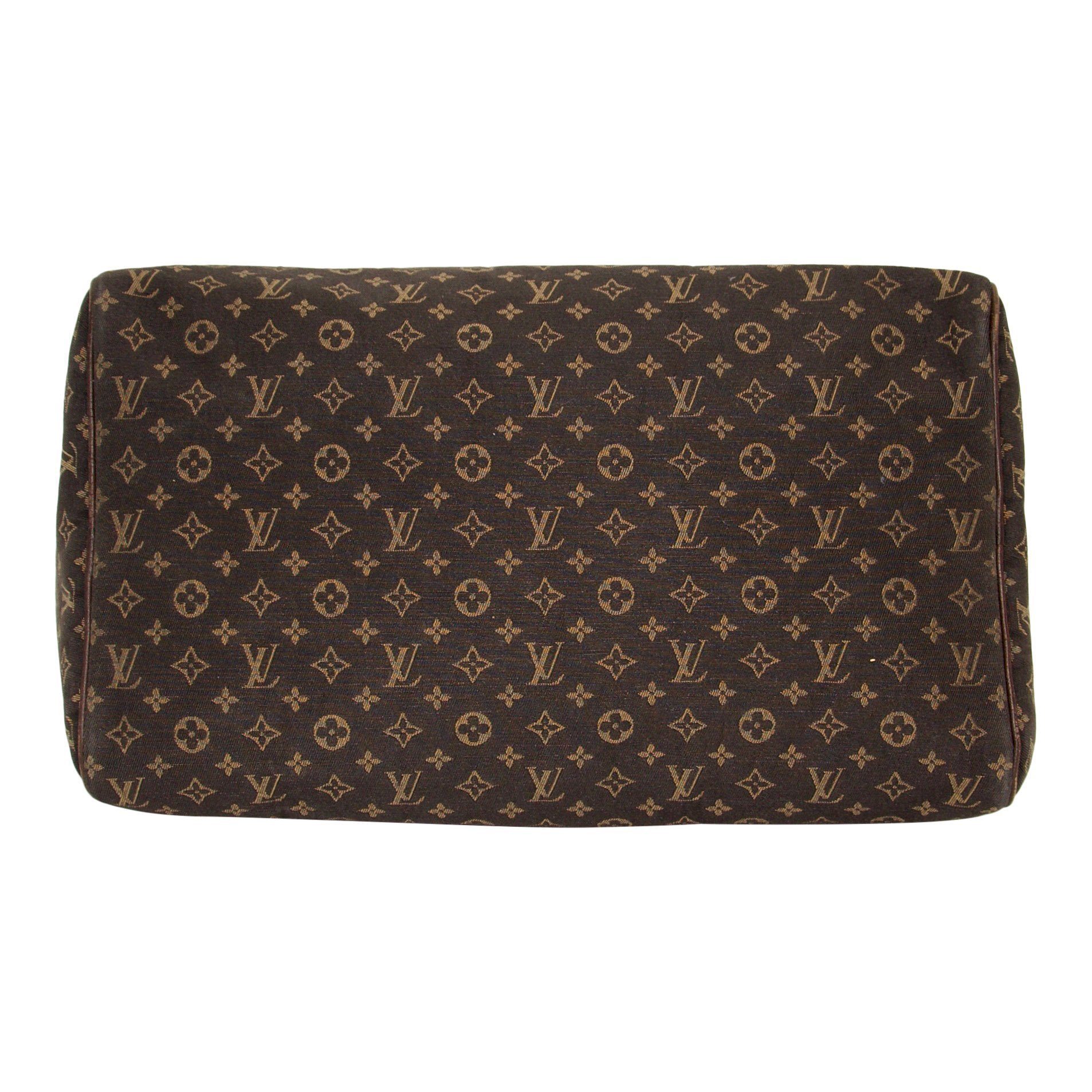 Louis Vuitton Mini Lin Speedy 30