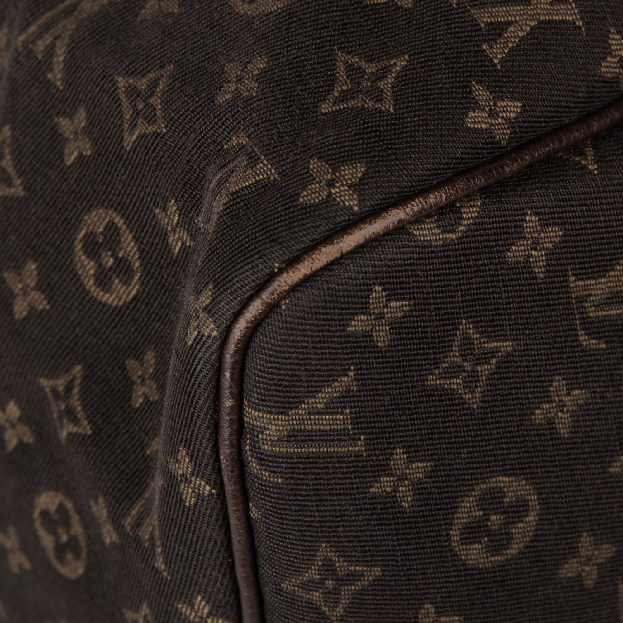 Louis Vuitton Mini Lin Speedy 30
