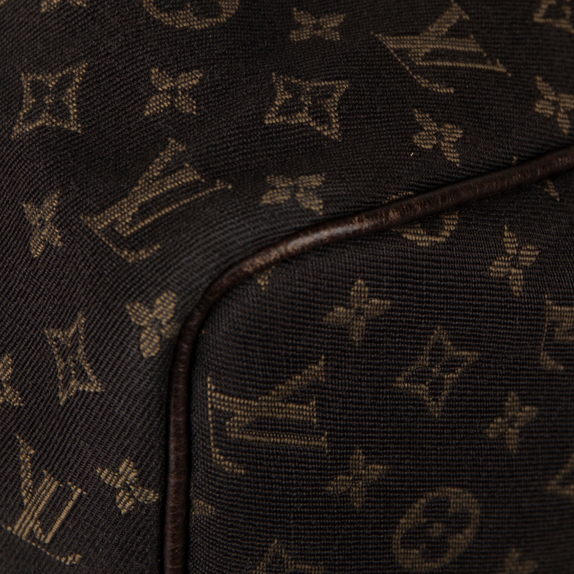 Louis Vuitton Mini Lin Speedy 30