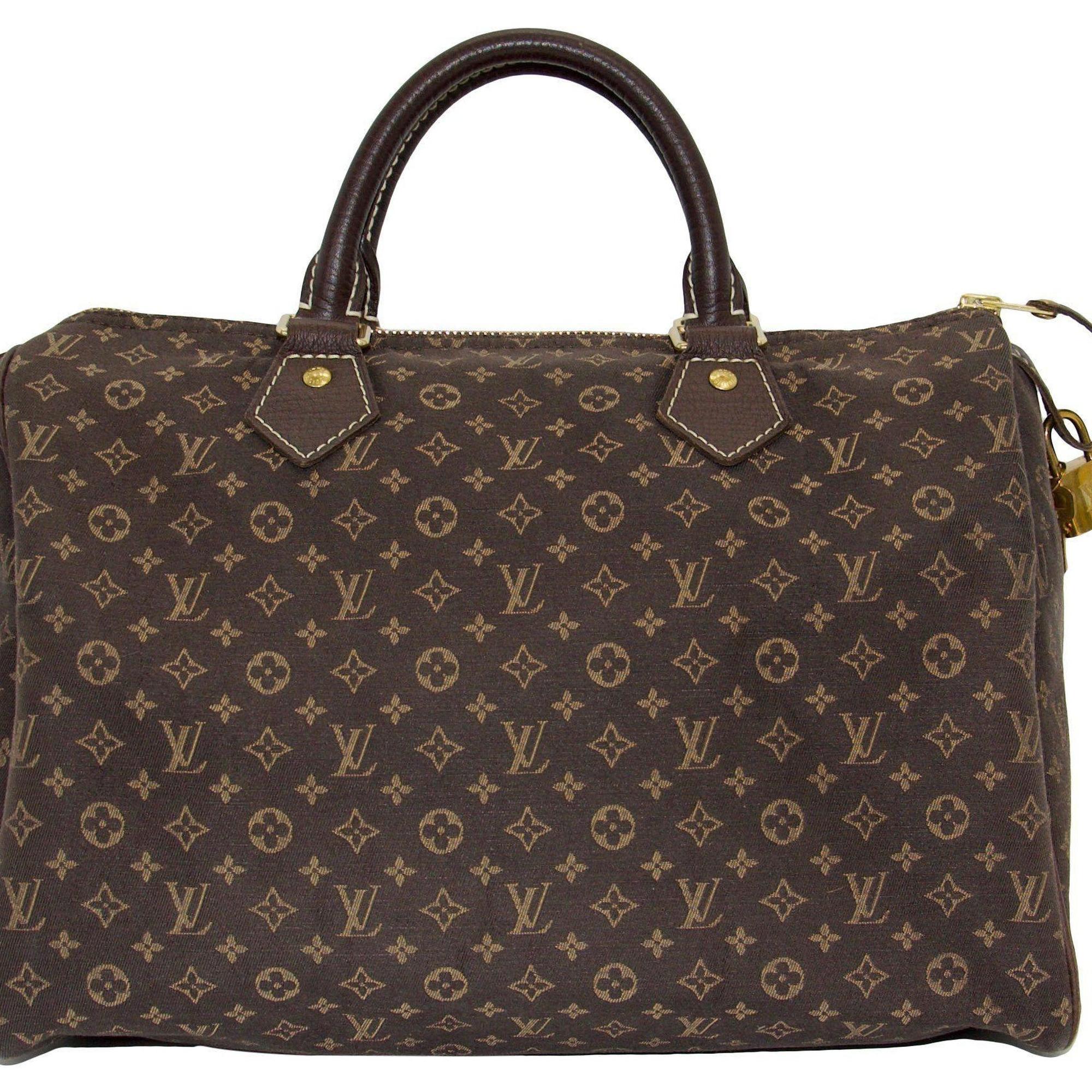 Louis Vuitton Mini Lin Speedy 30