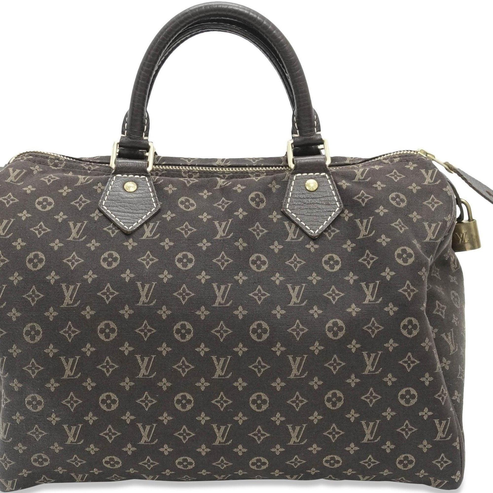 Louis Vuitton Mini Lin Speedy 30