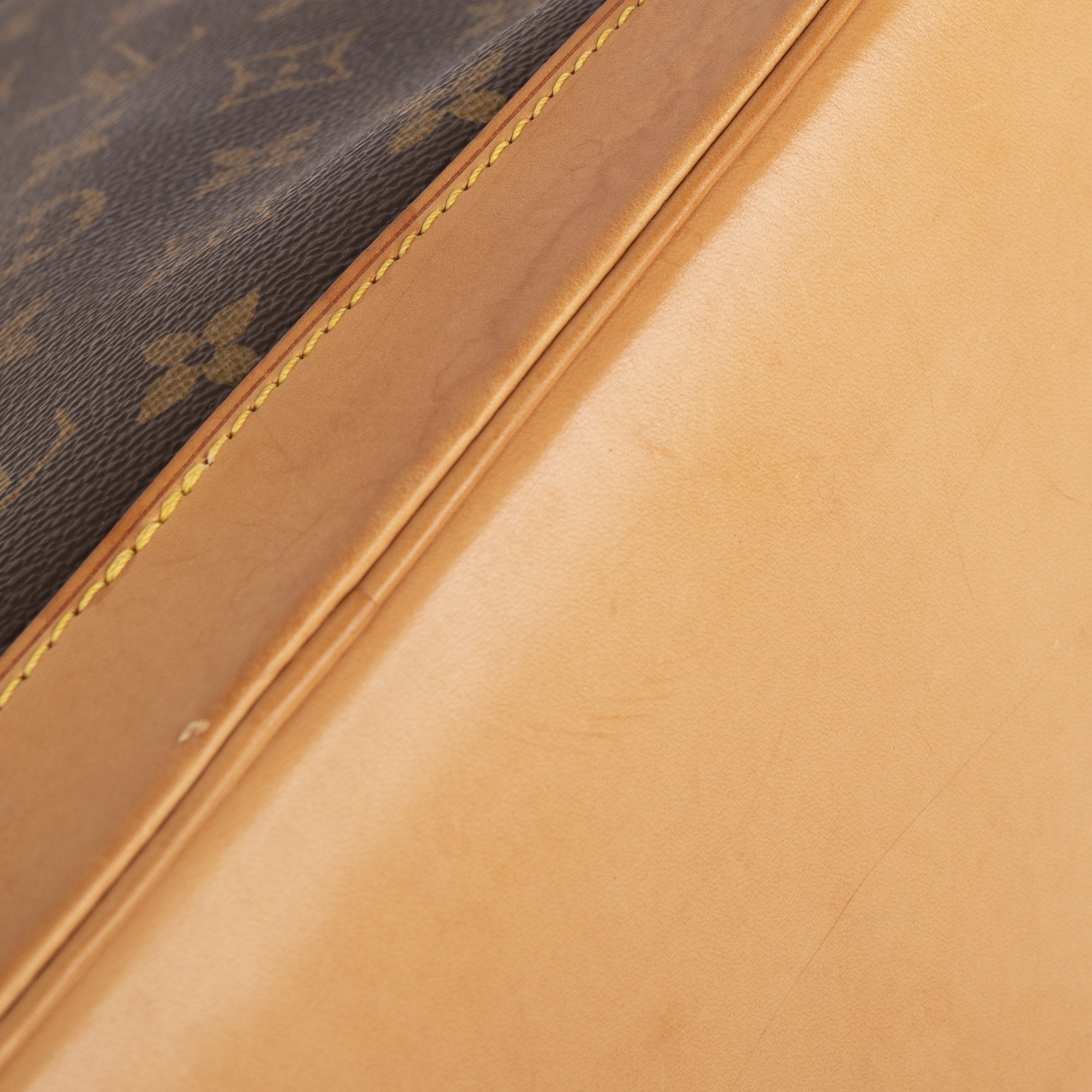 Louis Vuitton Monogram Alma PM