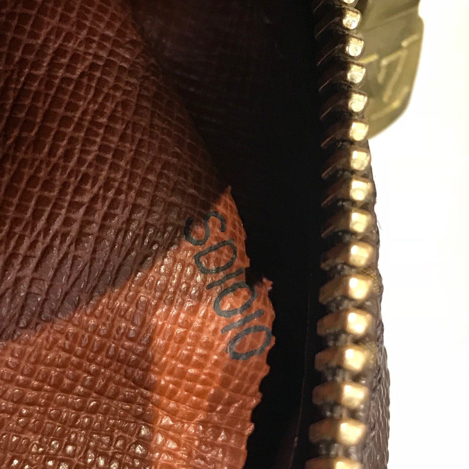 Louis Vuitton Monogram Amazone PM Camera Bag