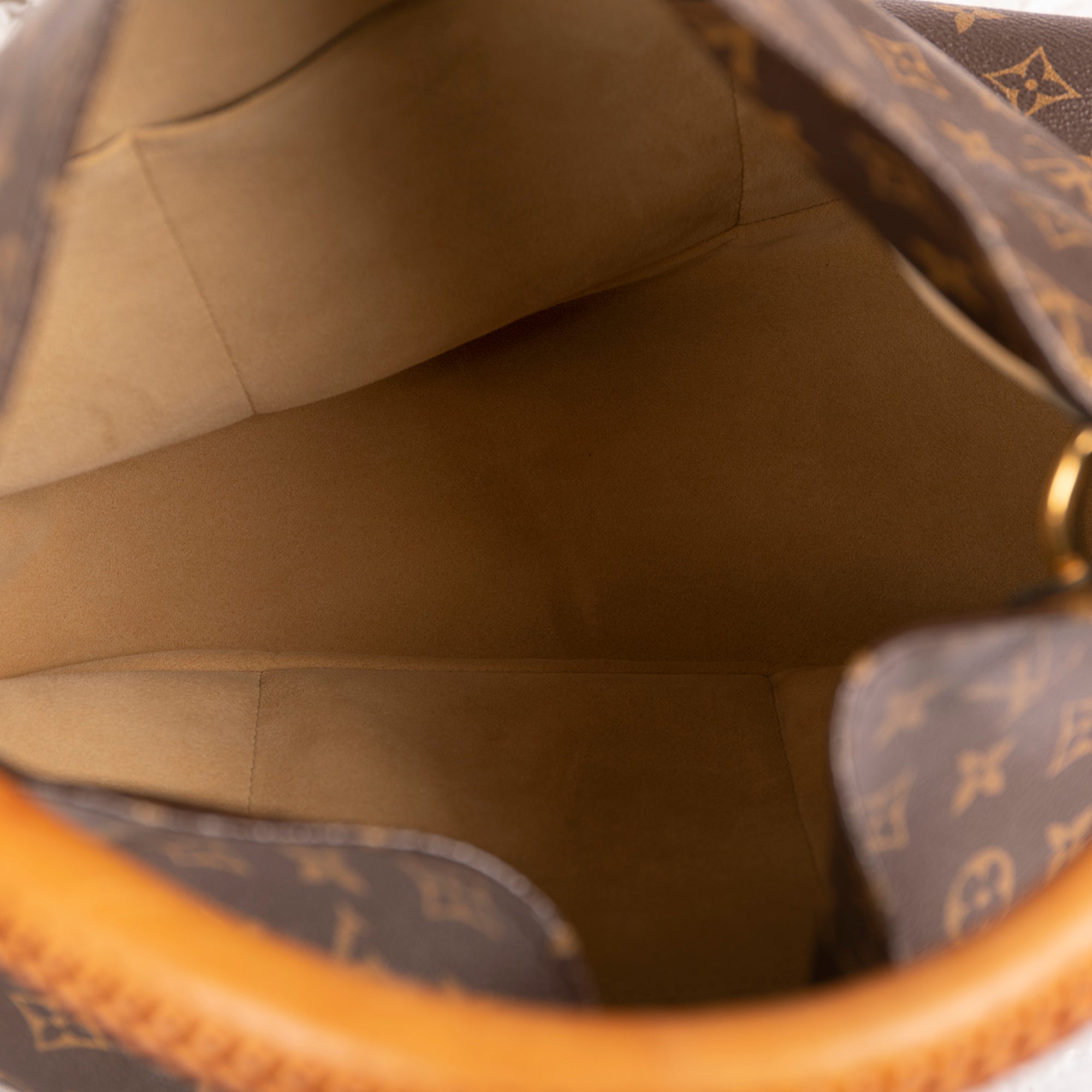 Louis Vuitton Monogram Artsy MM