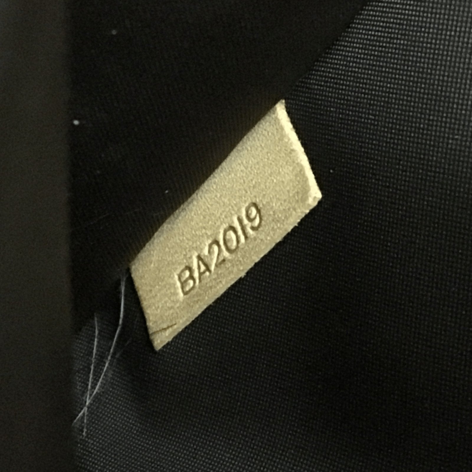 Louis Vuitton Monogram Baxter Pet Carrier GM