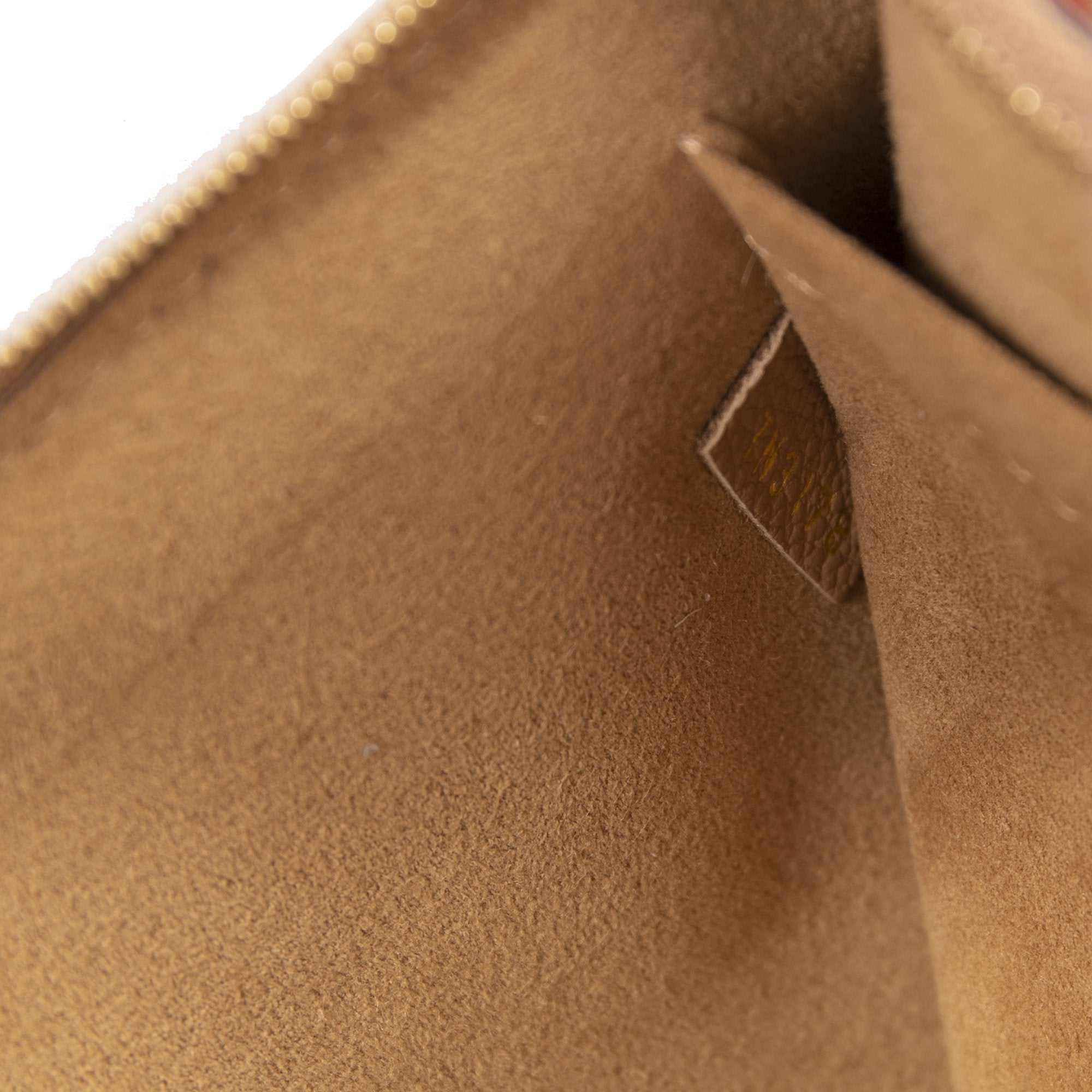 Louis Vuitton Monogram Daily Pouch