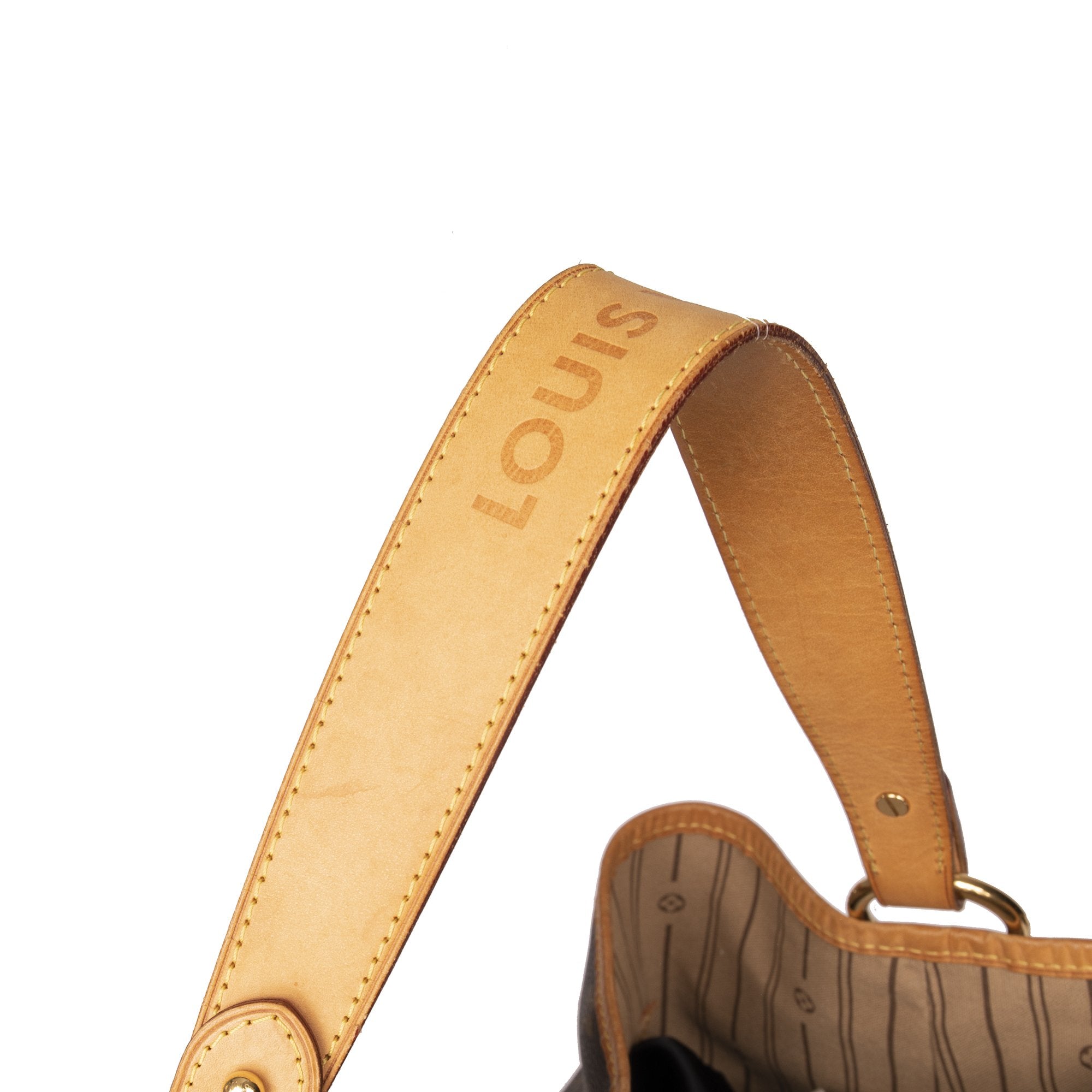 Louis Vuitton Monogram Delightful MM