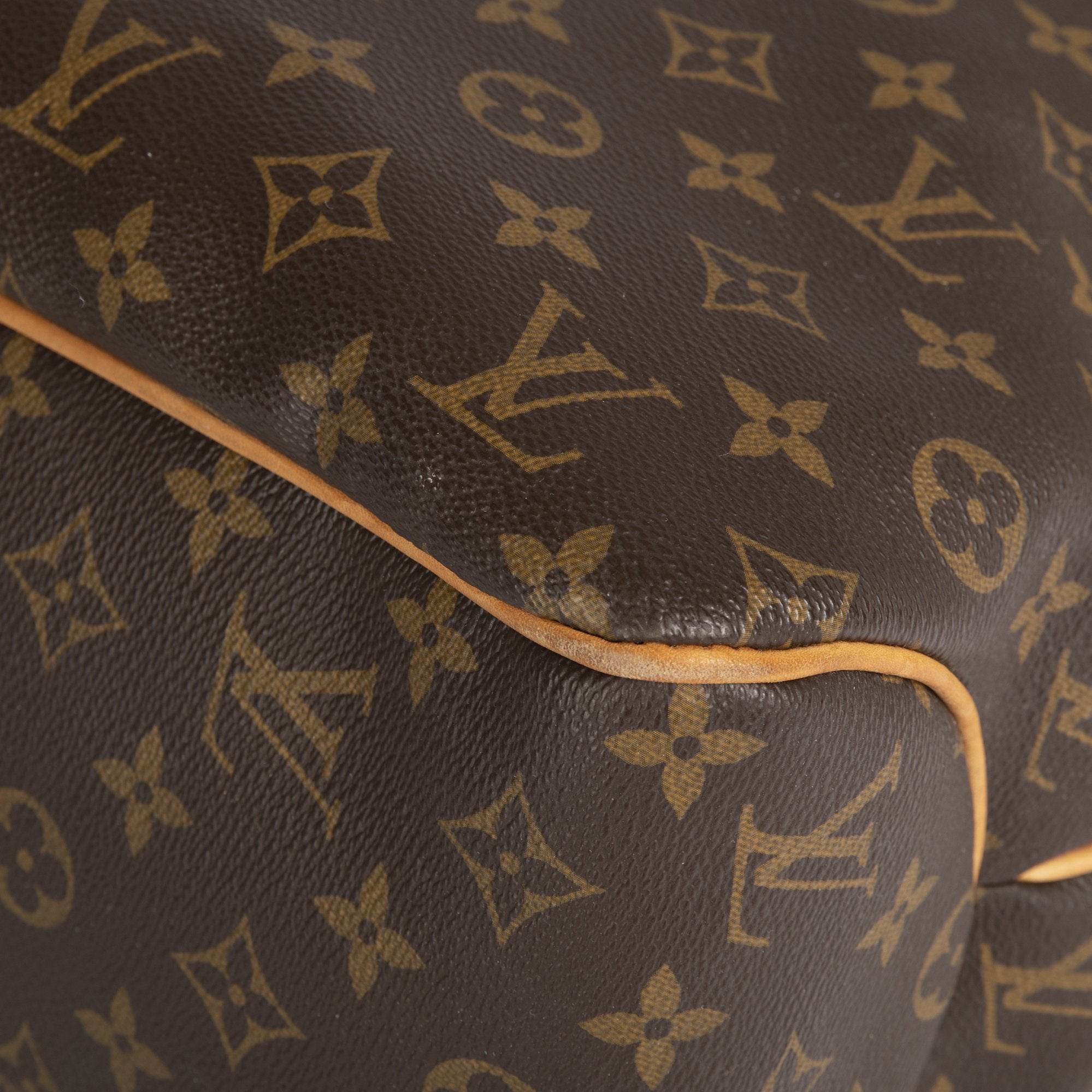 Louis Vuitton Monogram Delightful MM