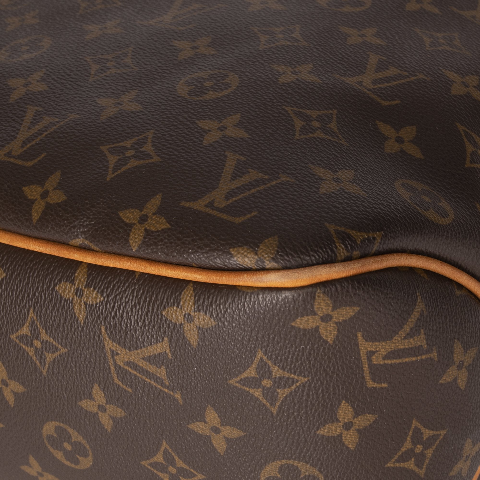 Louis Vuitton Monogram Delightful MM
