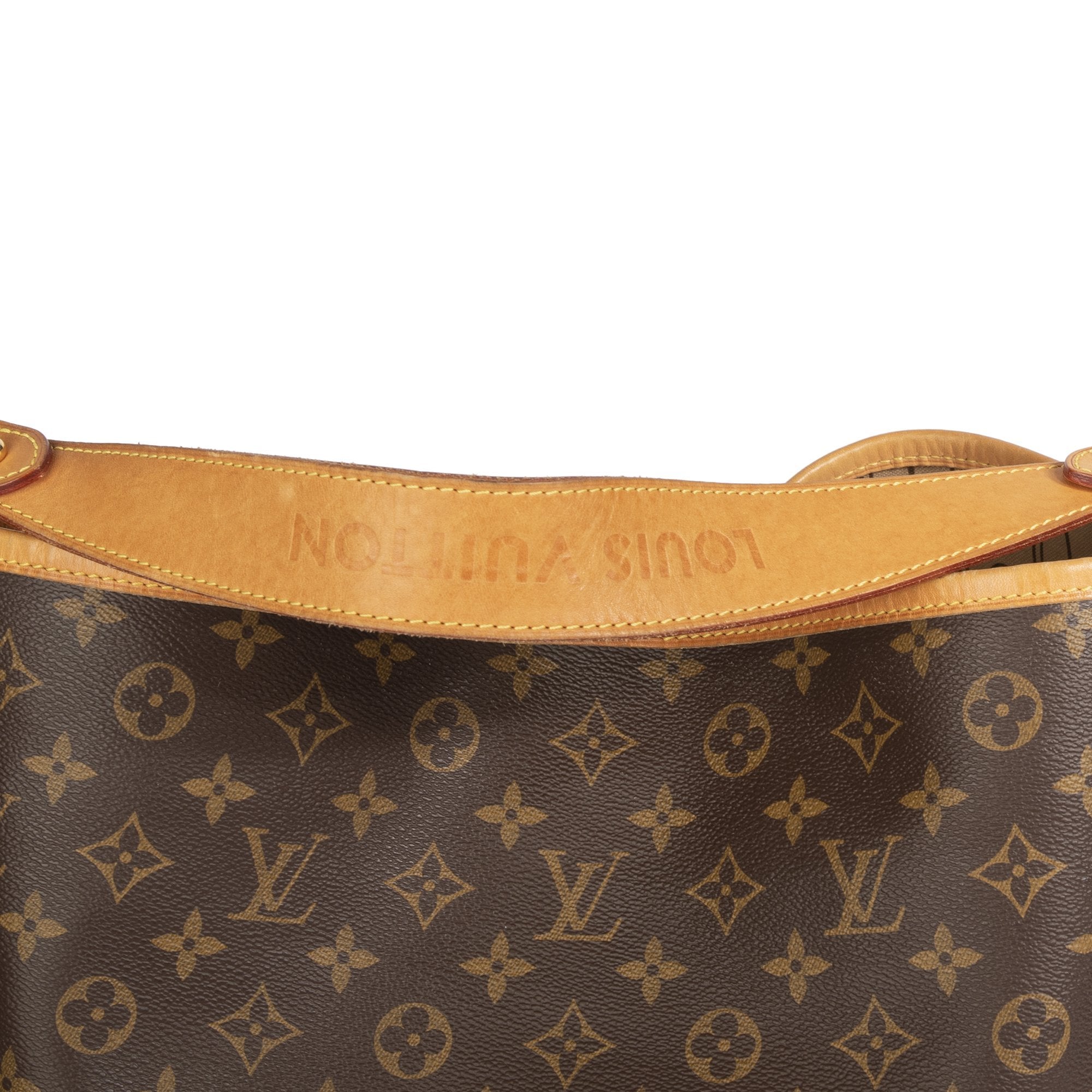 Louis Vuitton Monogram Delightful MM