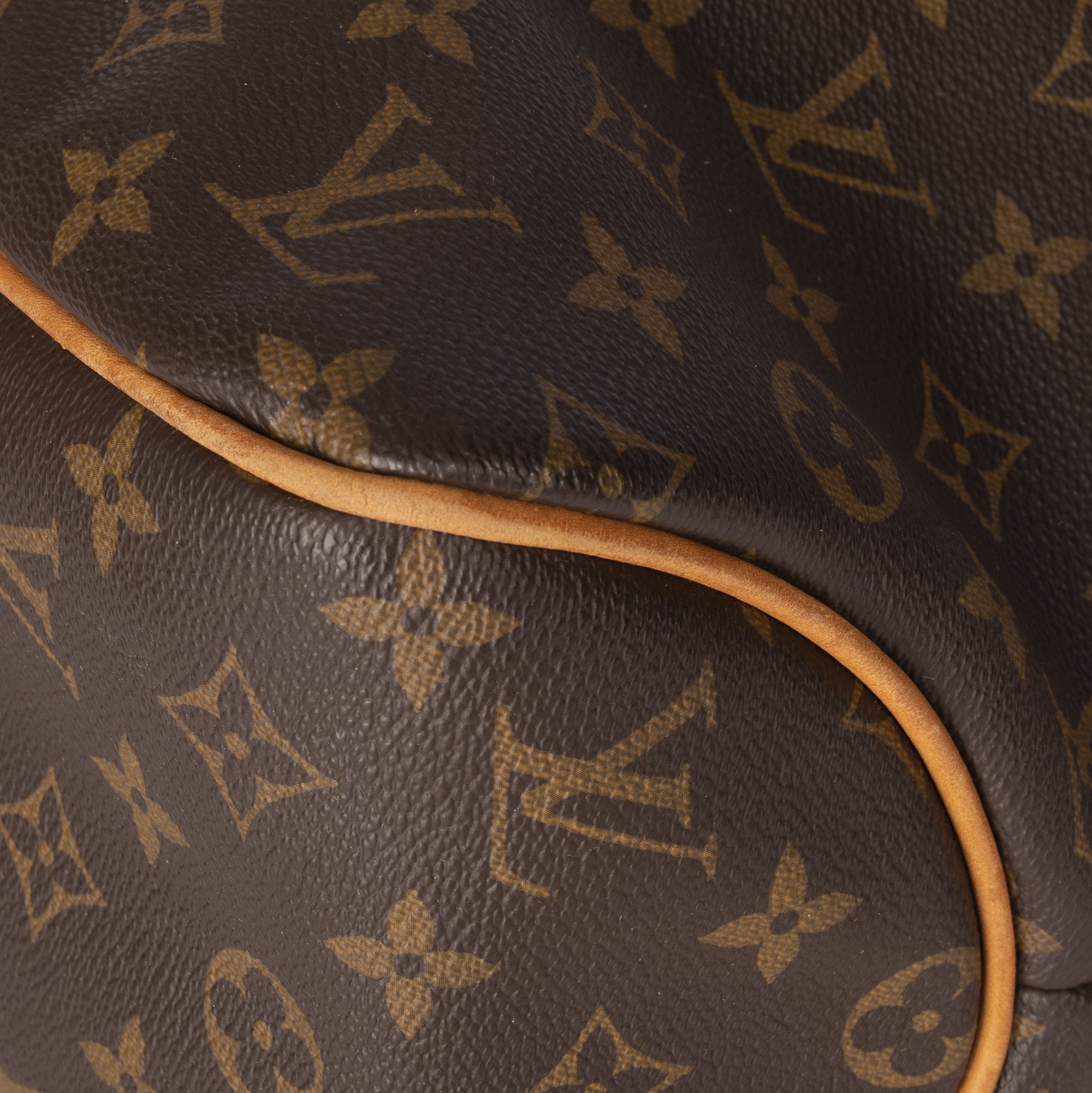 Louis Vuitton Monogram Delightful MM