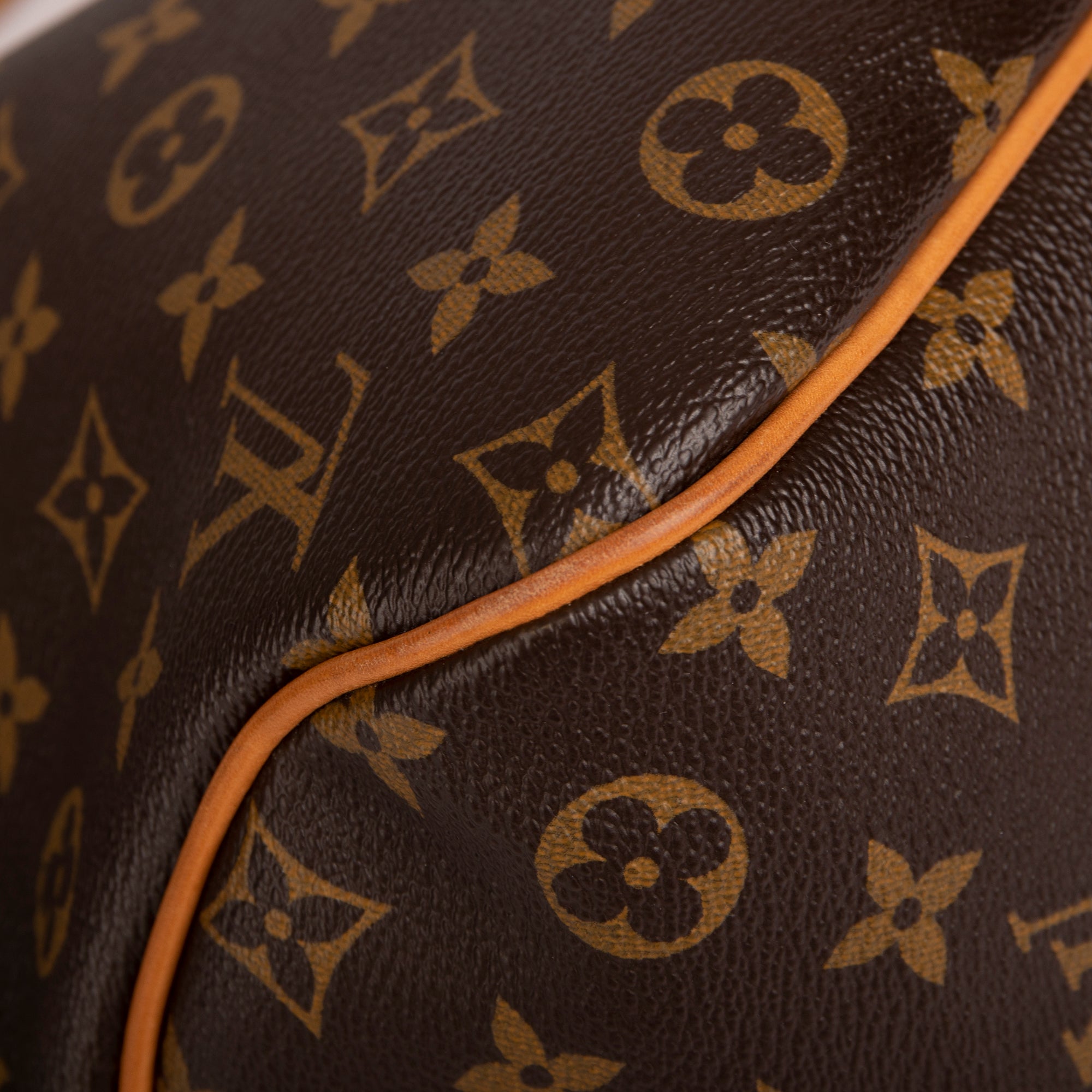 Louis Vuitton Monogram Delightful PM