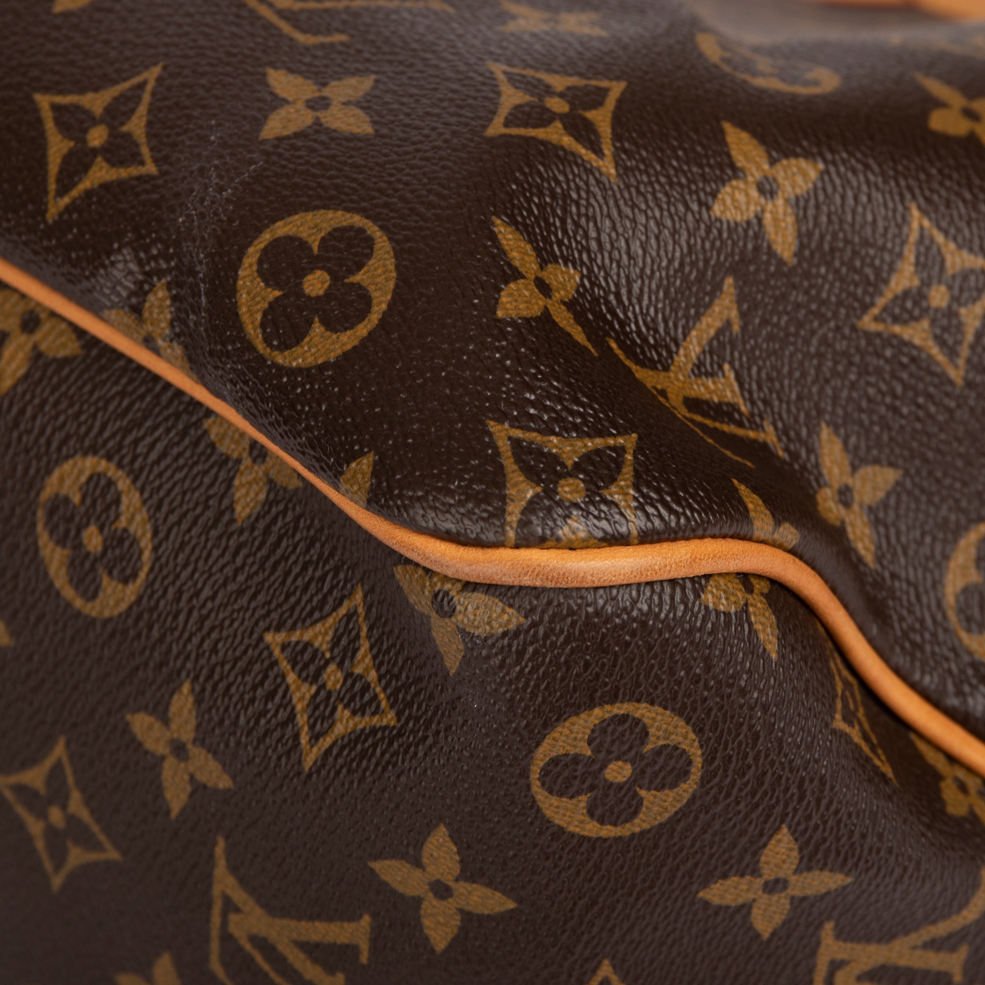 Louis Vuitton Monogram Delightful PM