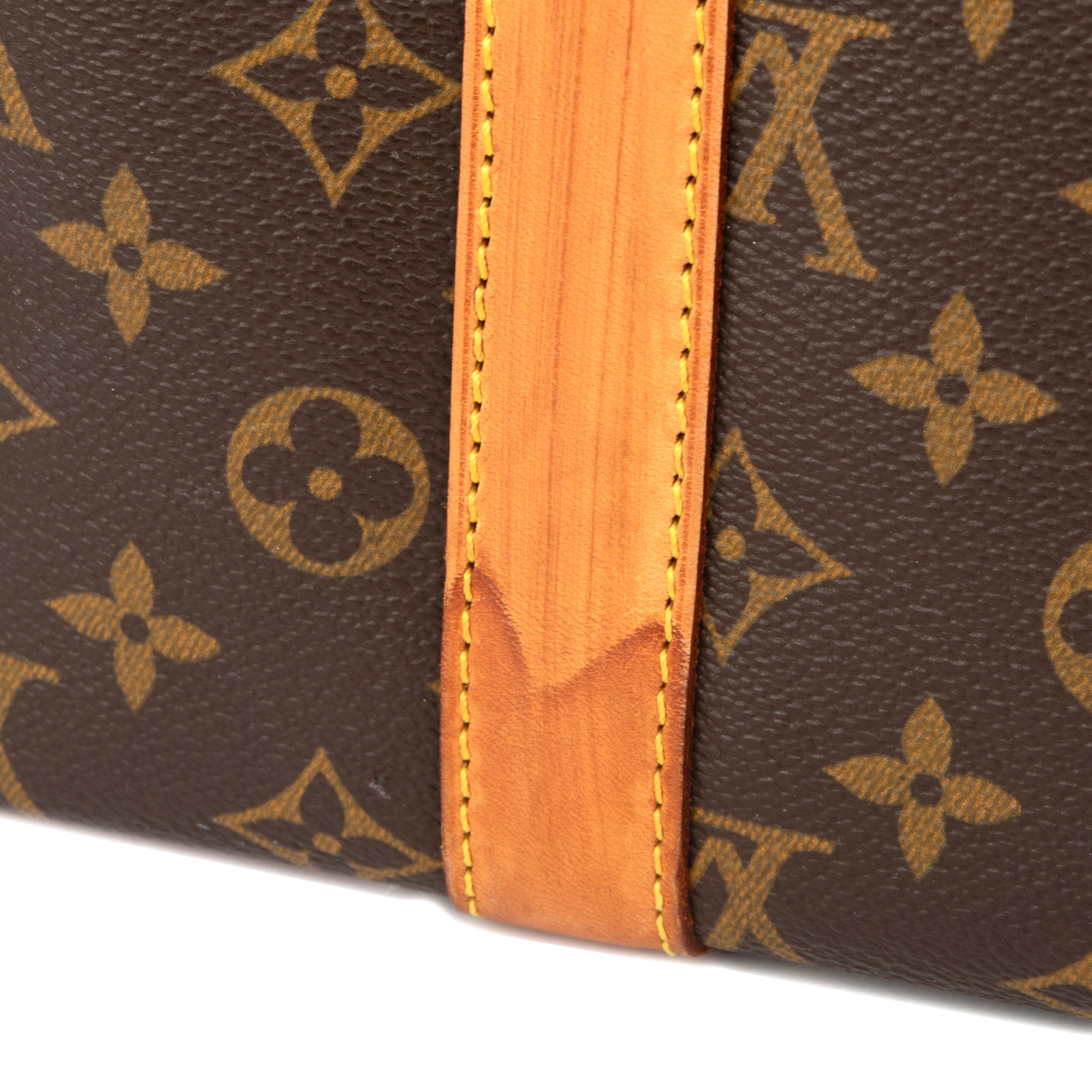 Louis Vuitton Monogram Dog Carrier 40