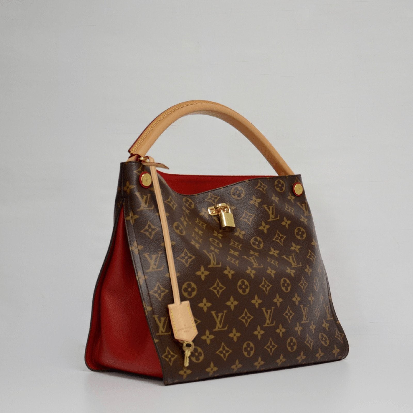 Louis Vuitton Monogram Gaia Bag