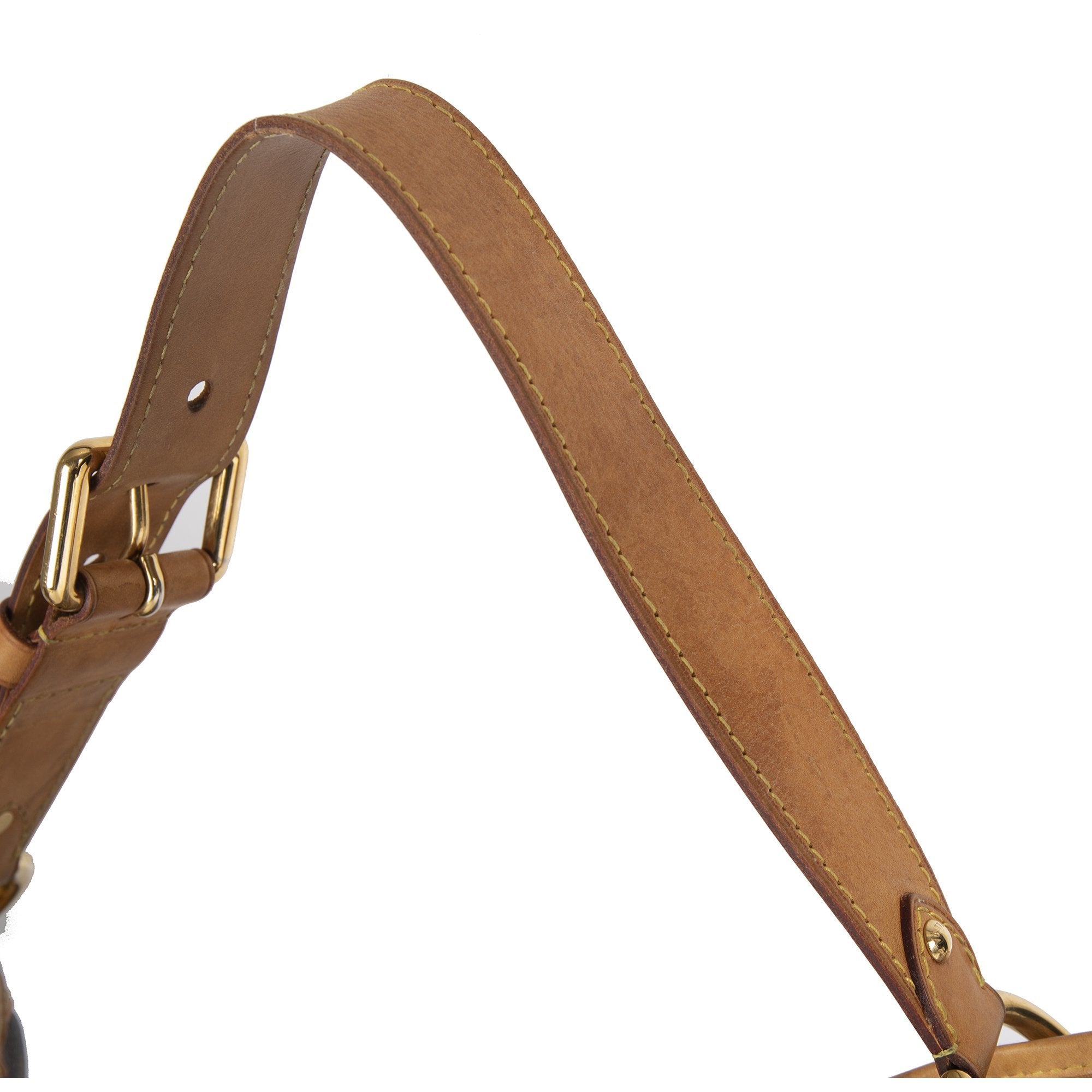 Louis Vuitton Monogram Galleria PM