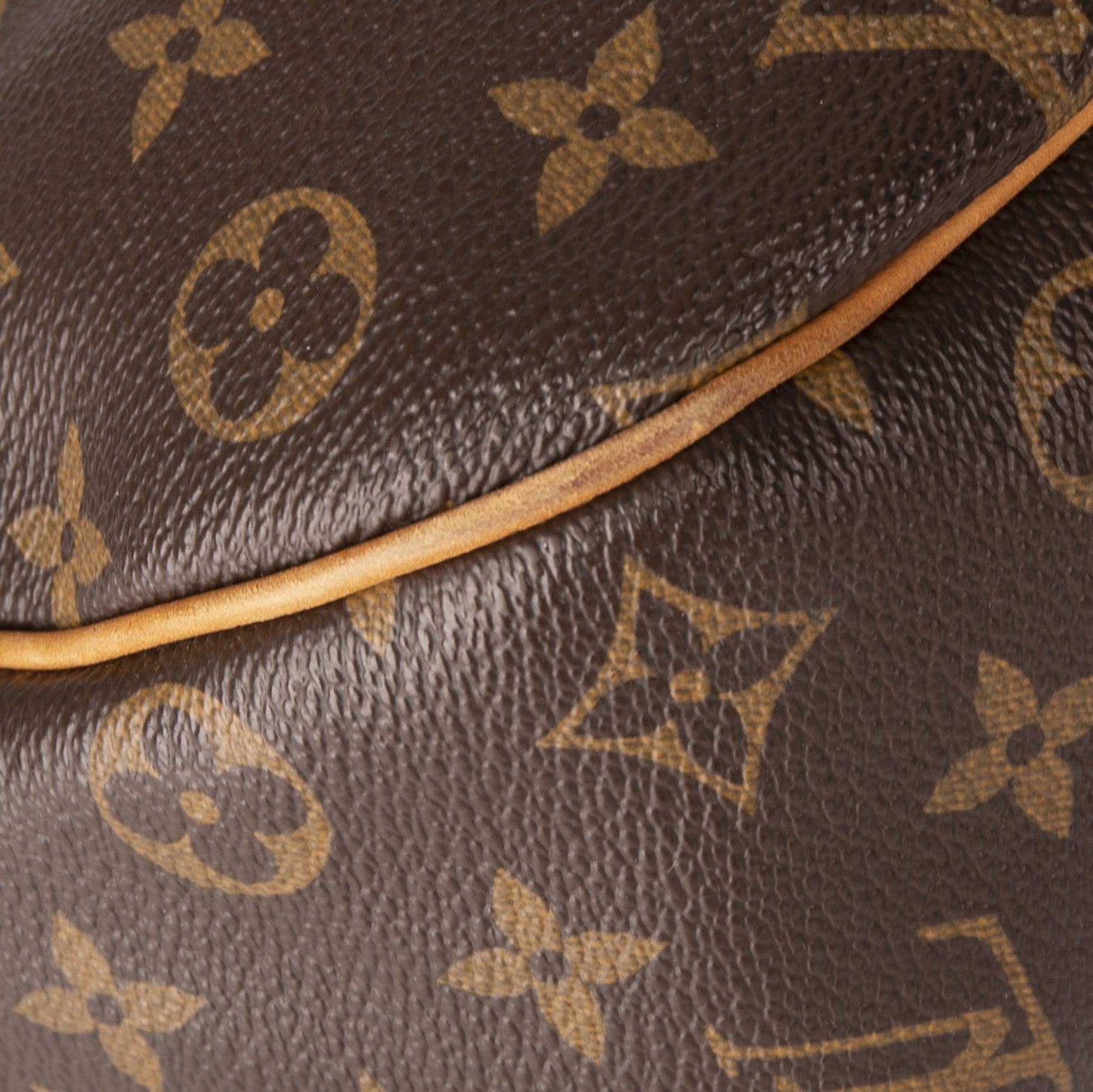 Louis Vuitton Monogram Galleria PM