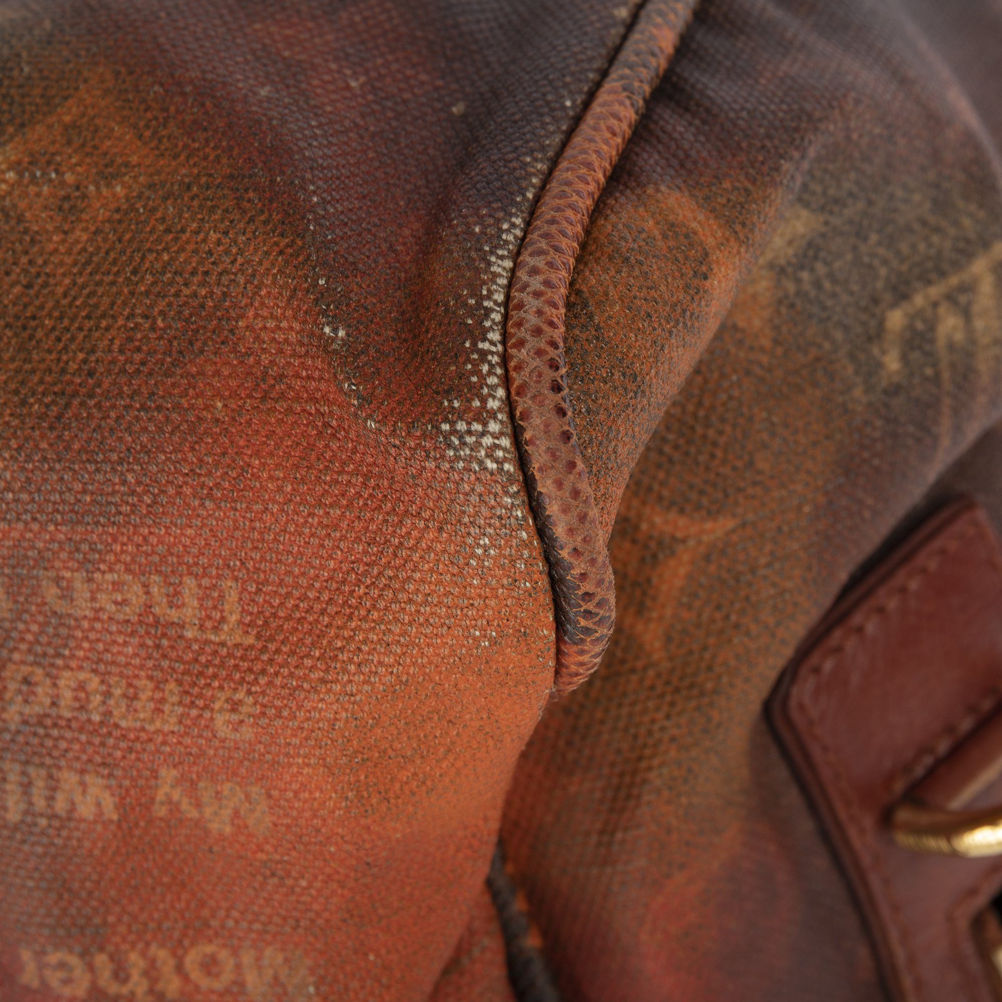 Louis Vuitton Monogram Karung-Trimmed Mancrazy Jokes Bag