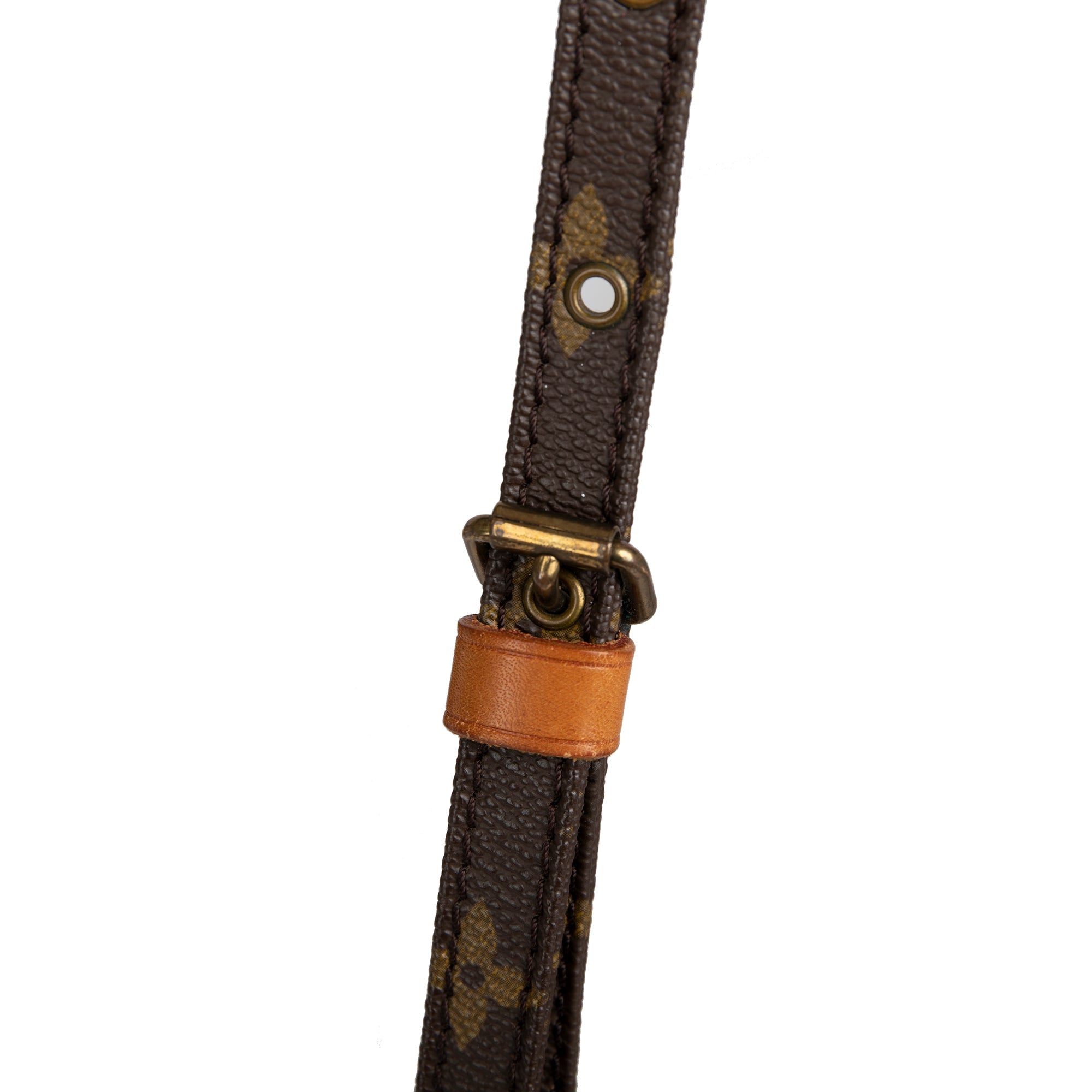 Louis Vuitton Monogram Mini Danube