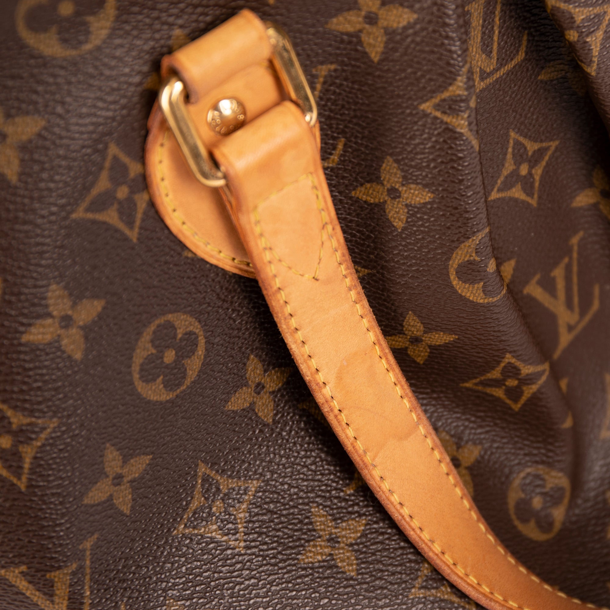 Louis Vuitton Monogram Palermo PM w/ Strap