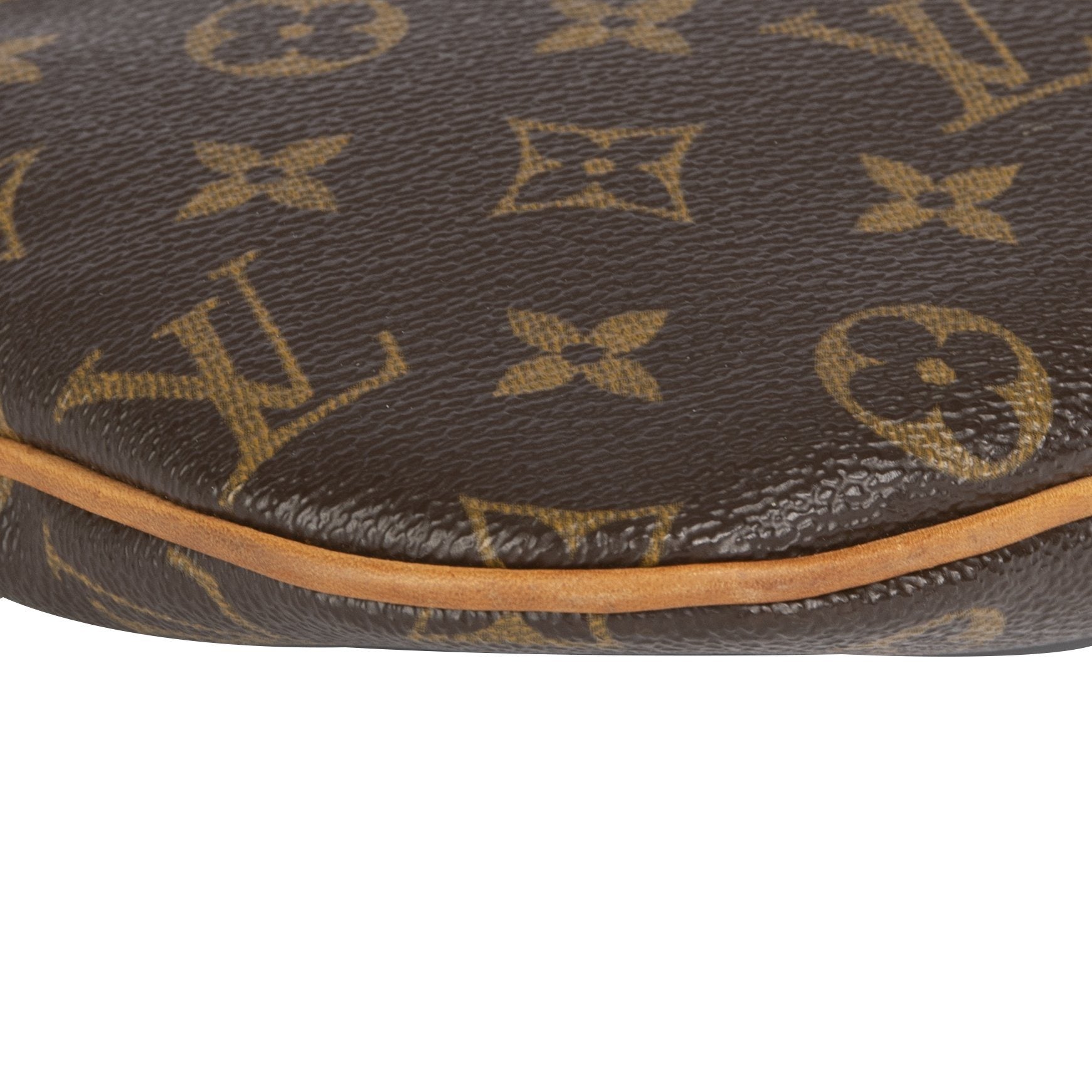 Louis Vuitton Monogram Pochette Bosphore