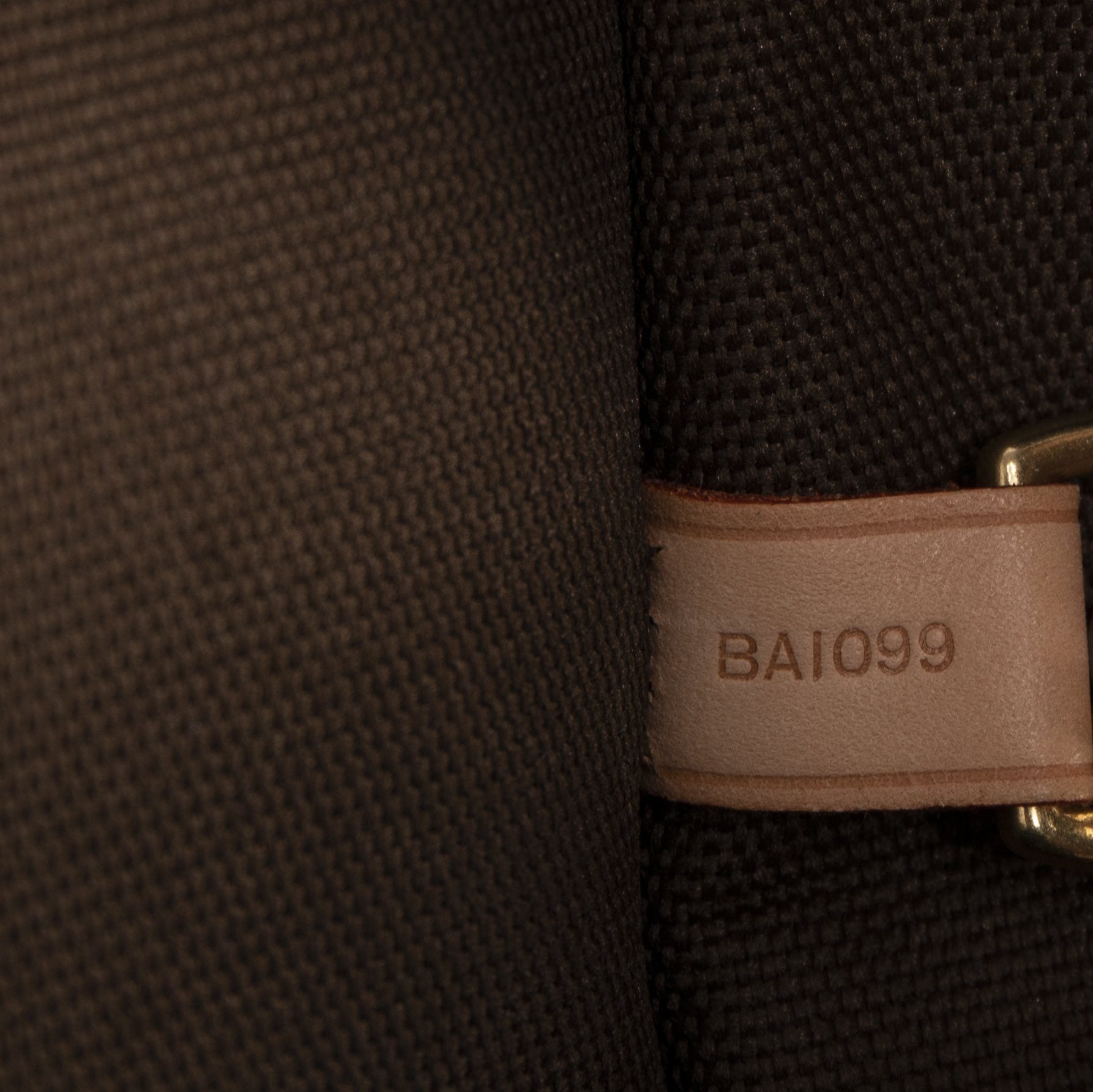 Louis Vuitton Monogram Portable Bandouliere Garment Bag