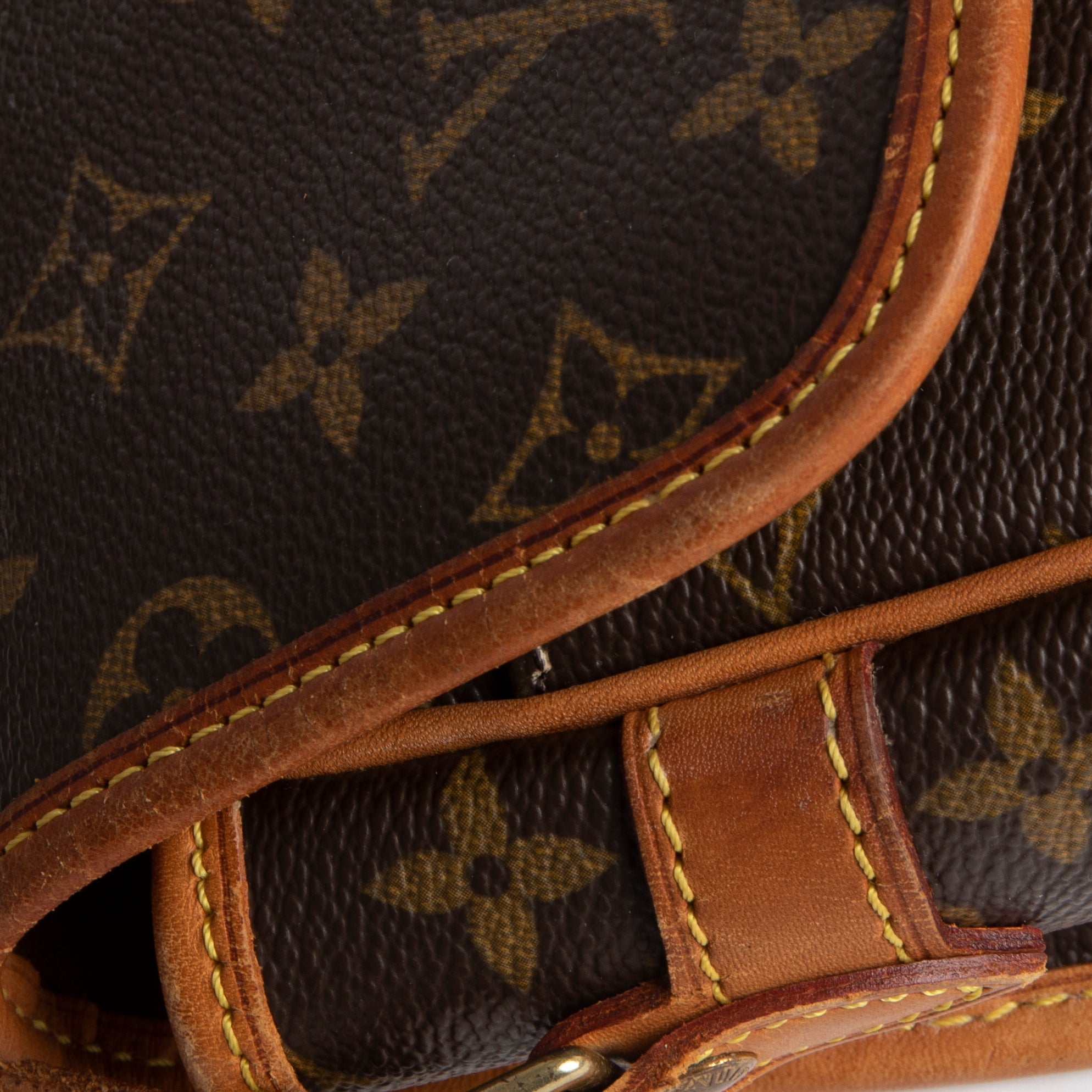 Louis Vuitton Monogram Sologne Crossbody Bag