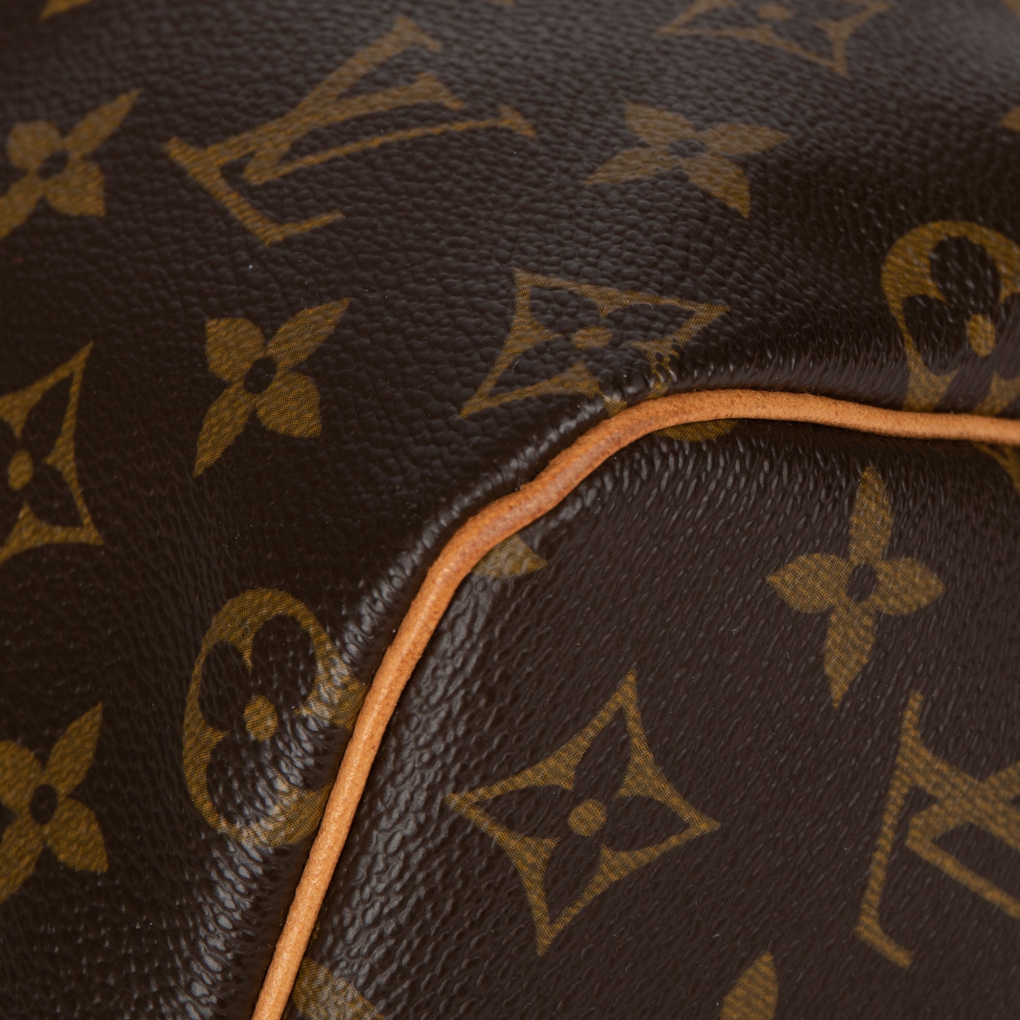 Louis Vuitton Monogram Speedy 25