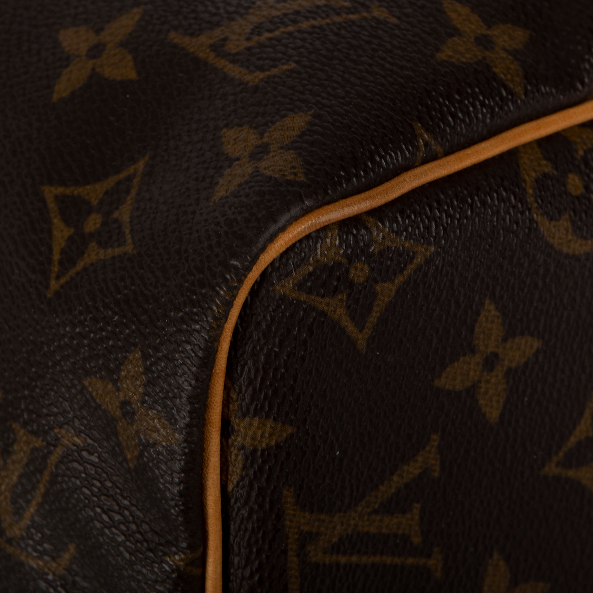 Louis Vuitton Monogram Speedy 30