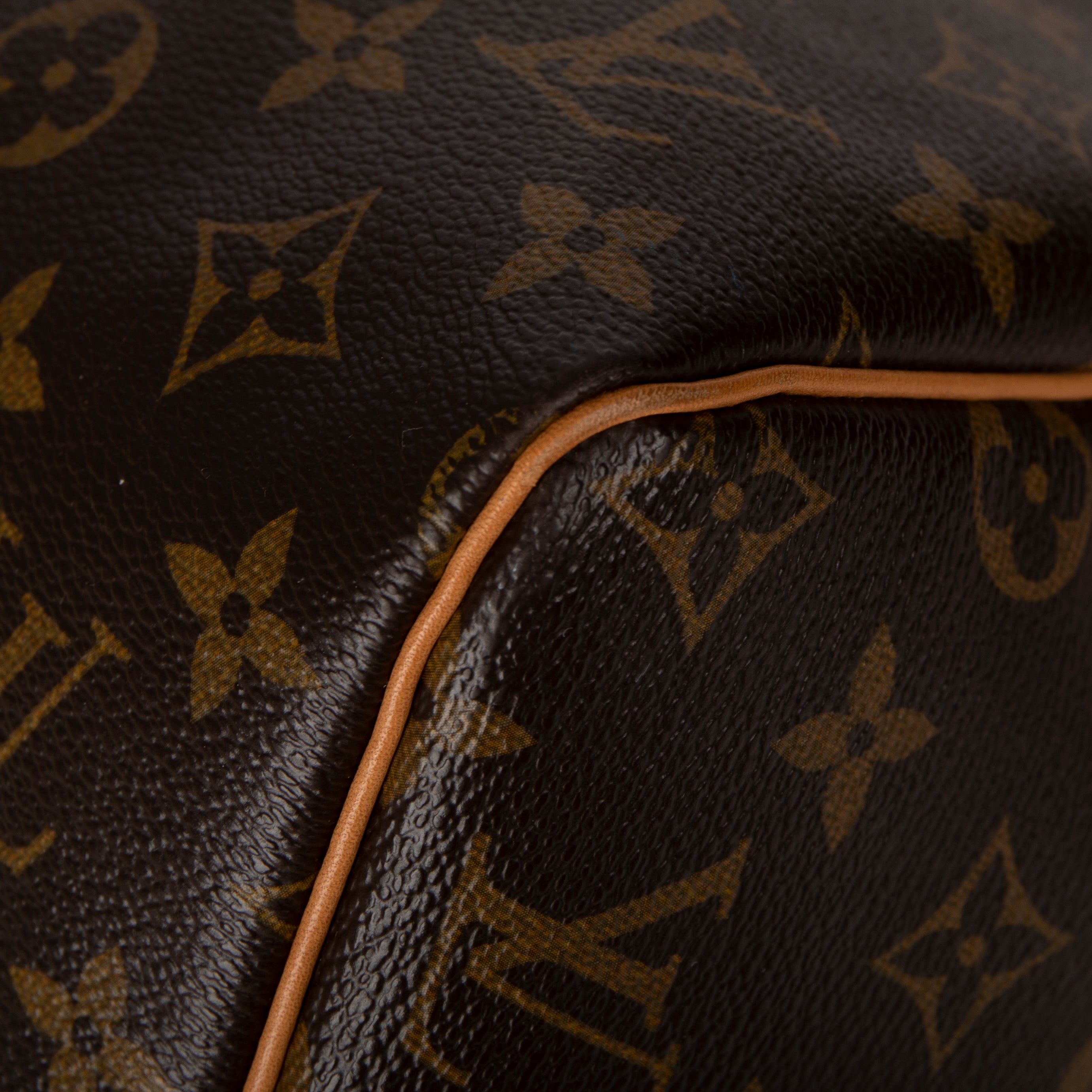 Louis Vuitton Monogram Speedy 30