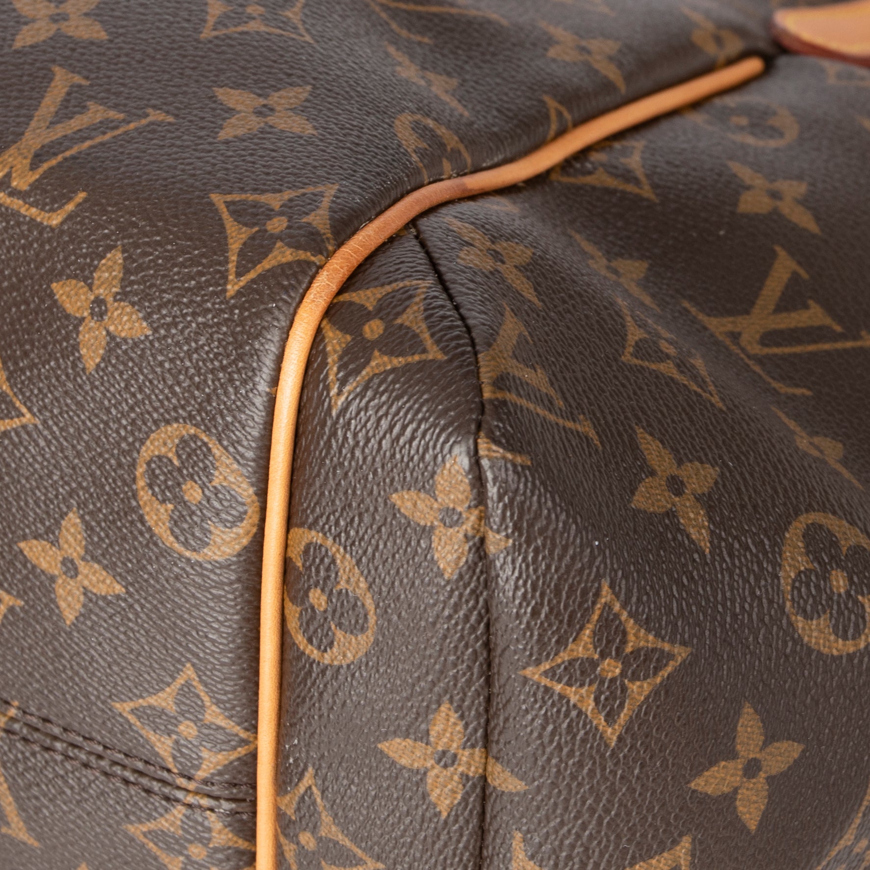 Louis Vuitton Monogram Totally MM