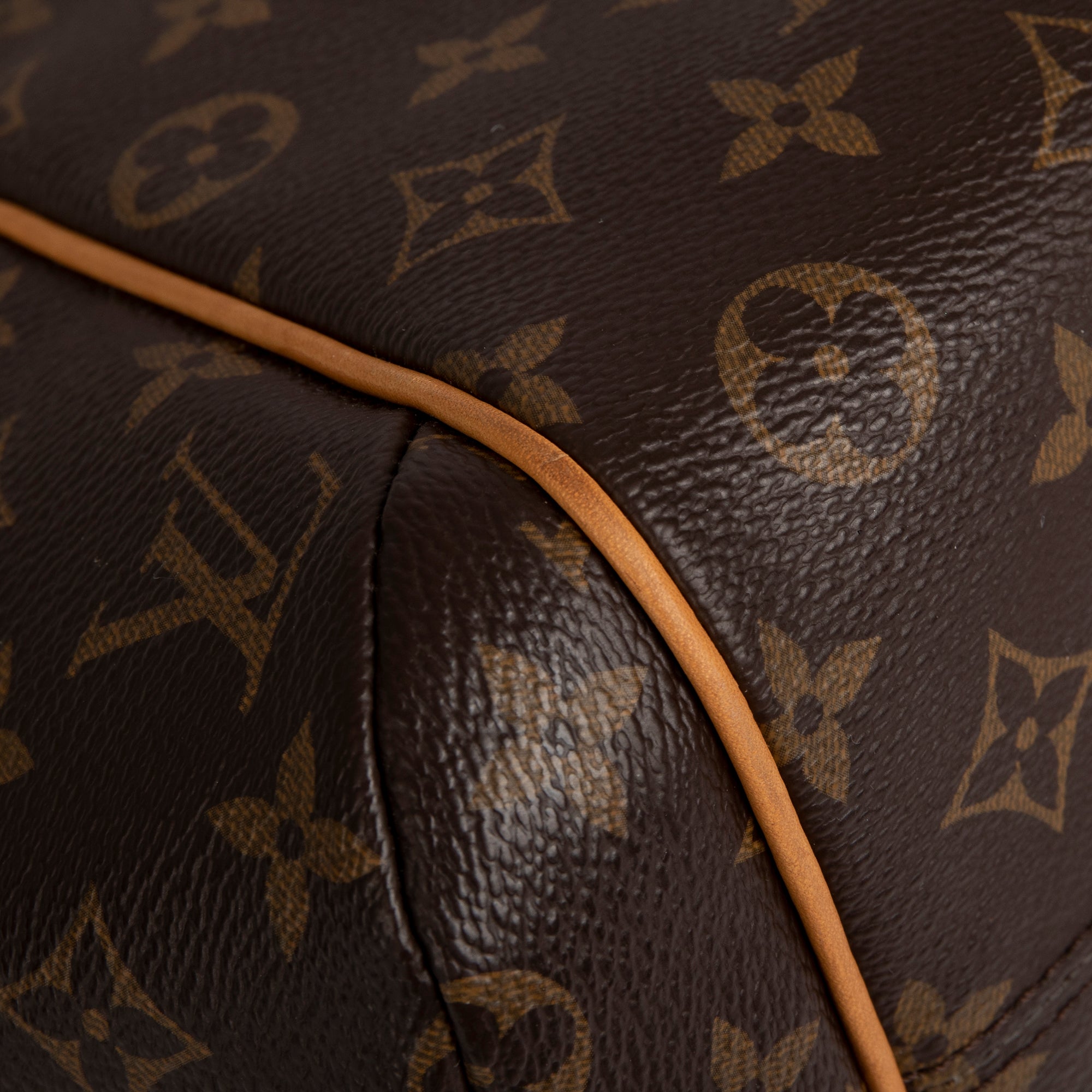 Louis Vuitton Monogram Totally PM
